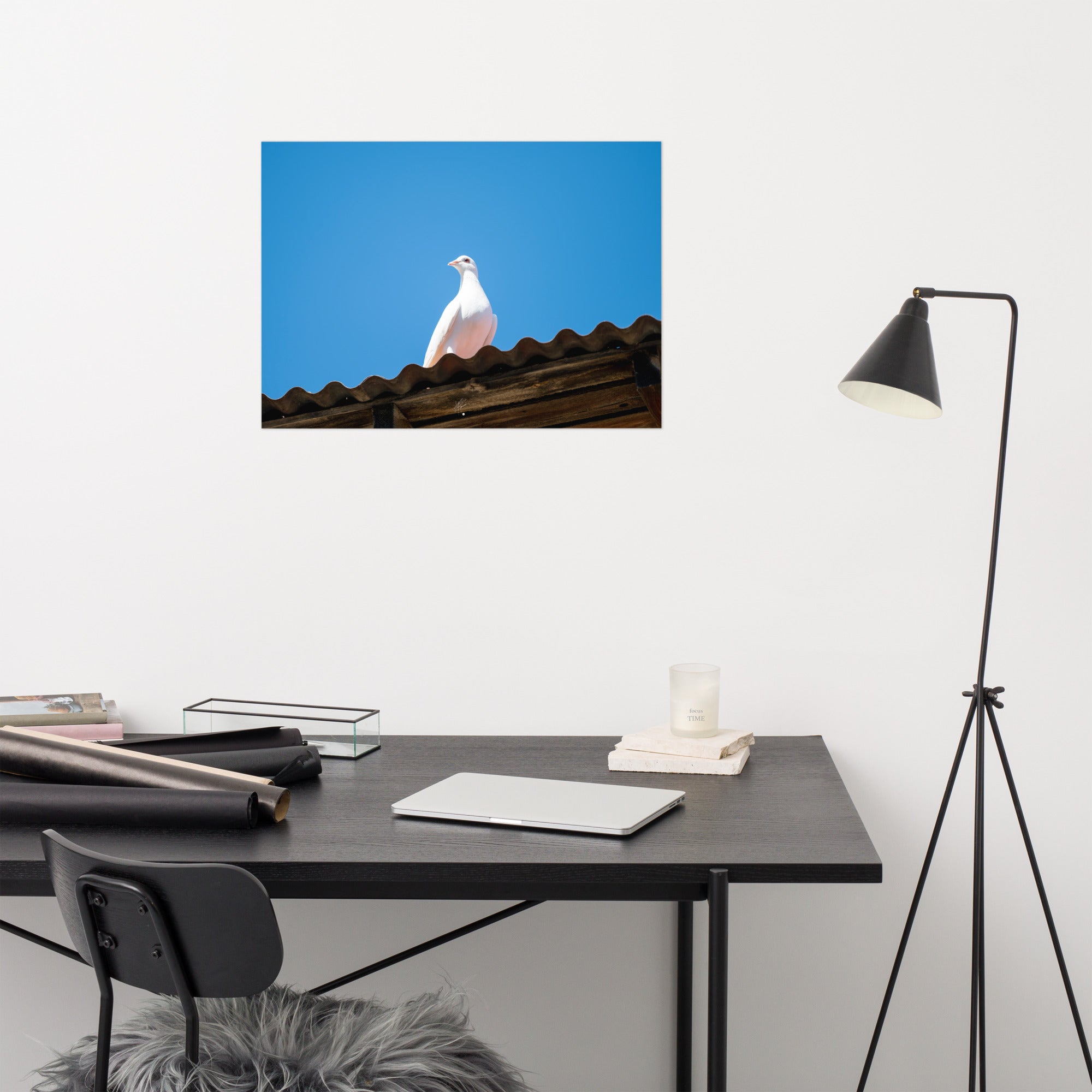 Photographie délicate 'Blanche Colombe' montrant un oiseau blanc en contemplation, imprimée sur papier haut de gamme.