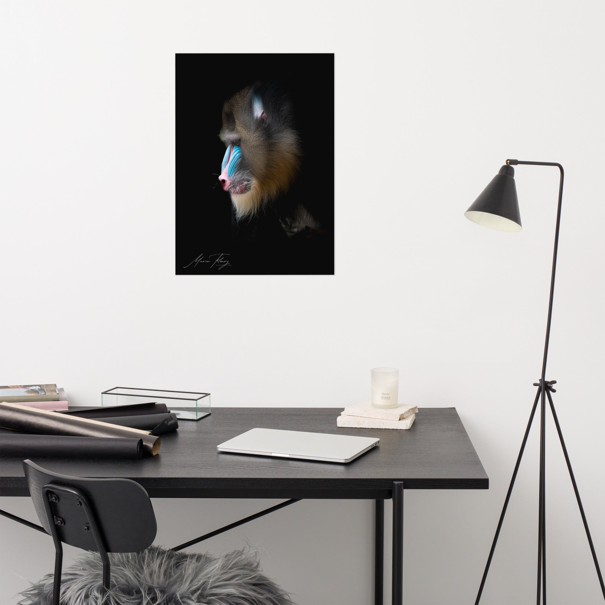 Portrait en profil d'un Mandrill aux couleurs vives, sur fond noir, œuvre artistique signée par Mademoiselle M et Maria Fleury.