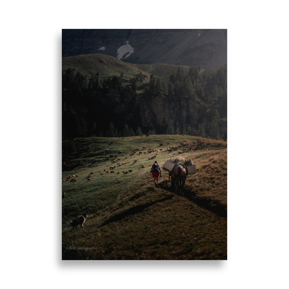 Une scène pittoresque de la nature avec un chien de berger, un cheval, un randonneur et un troupeau de moutons à la lumière du couchant, capturée par Brad_explographie.
