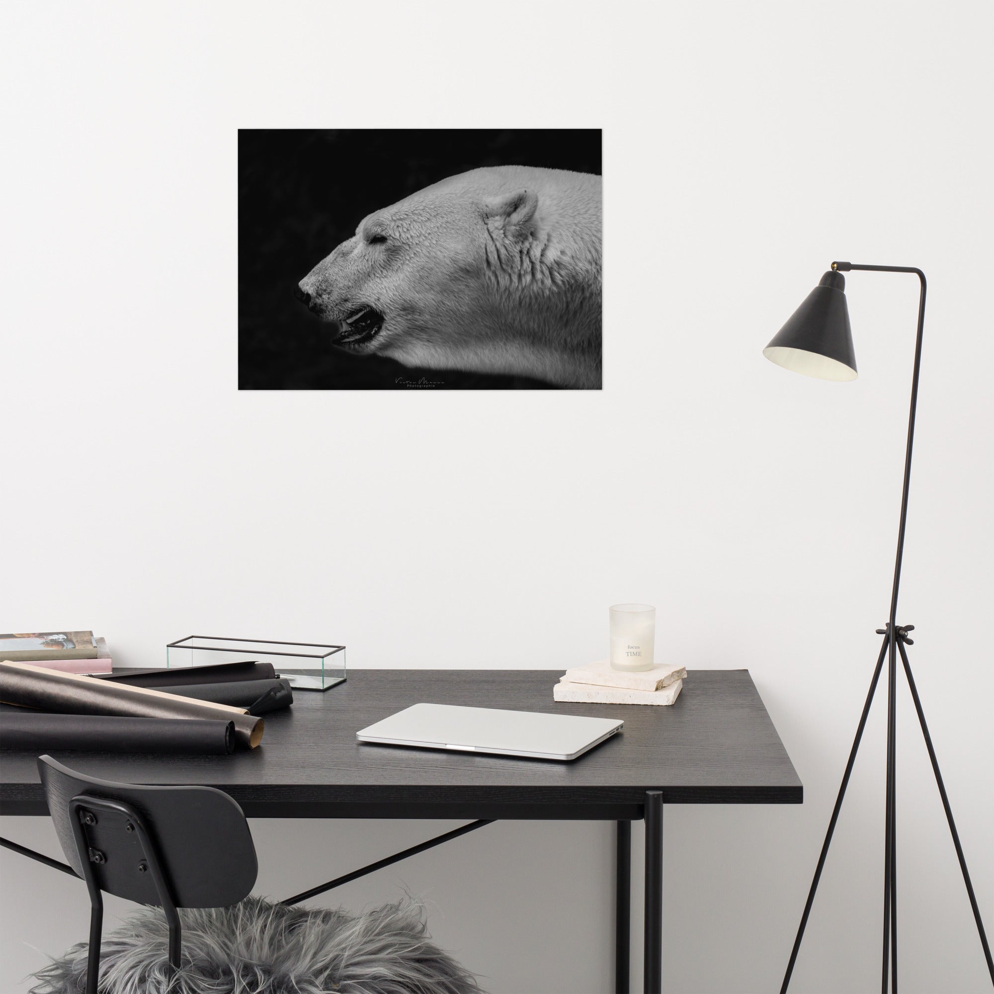 Portrait 'The White', capturant l'élégance et la puissance tranquille d'un ours polaire, son pelage blanc vibrant contrastant de manière saisissante avec un arrière-plan noir profond, créé par la photographe Victor Marre.