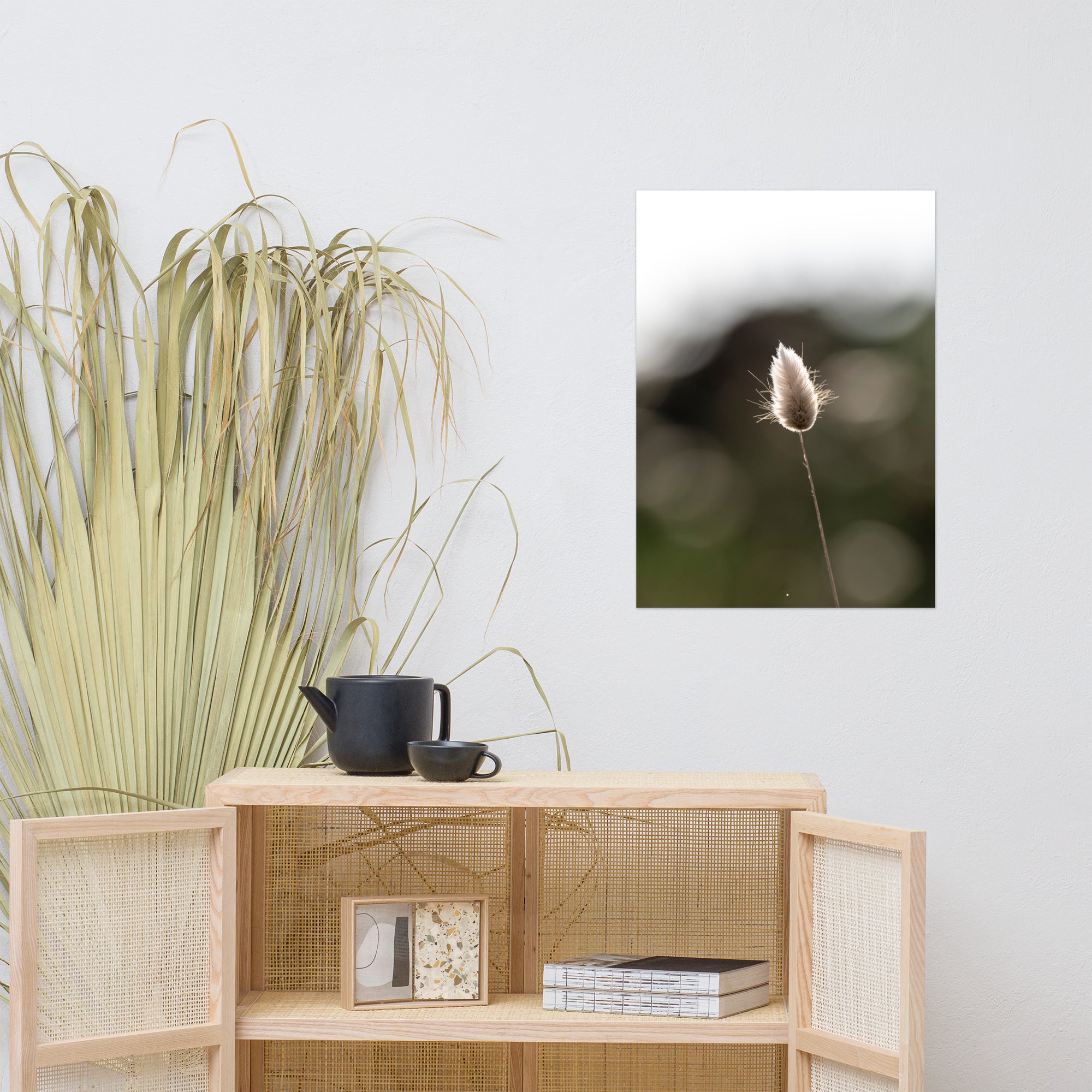 Photographie délicate 'Queue-de-lièvre', capturant de près la beauté et les détails fins d'une plante, créée par la photographe Yann Peccard.