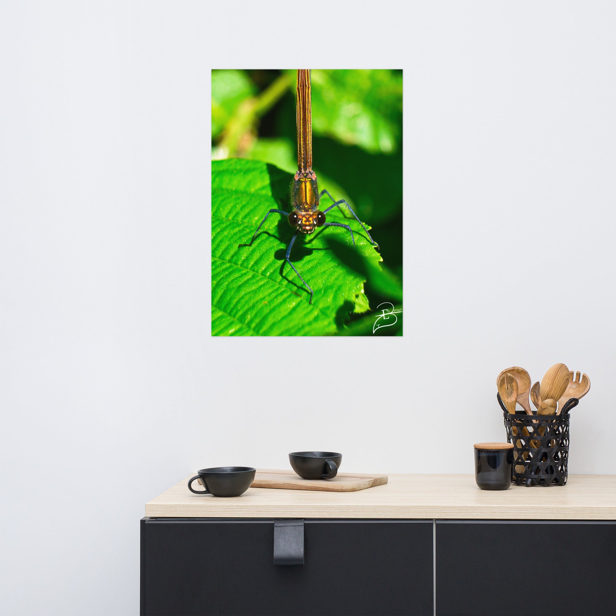 Photographie macro d'une femelle Libellule sur une feuille verte, les yeux fixant l'objectif, capturant la délicatesse de la nature, œuvre signée Eli Bernet.