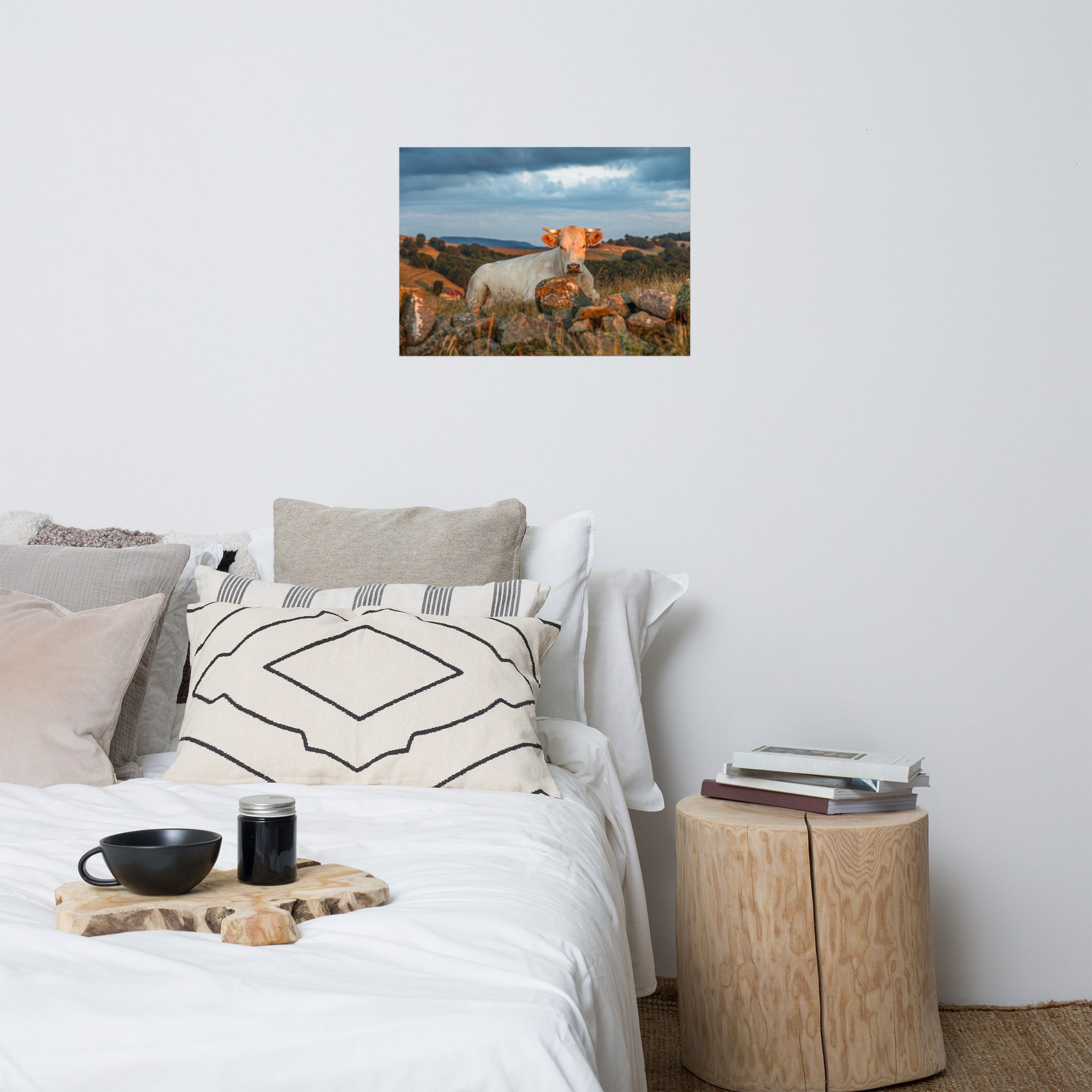 Poster 'Vache à l'Aube' illustrant une vache Charolaise entourée d'herbes hautes avec un fond montagneux au lever du soleil, photographié par Victor Marre.