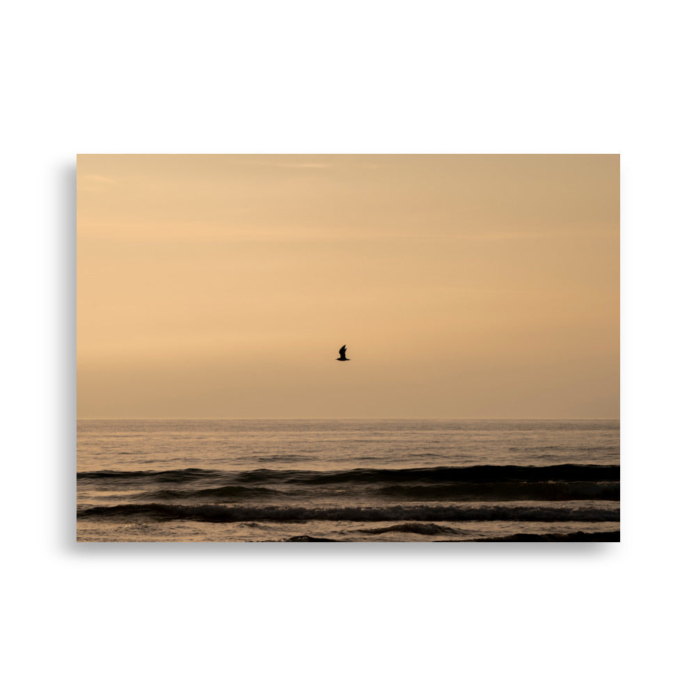 Photographie d'un coucher de soleil en bord de mer avec reflet du soleil sur les vagues, horizon doré et oiseau volant au-dessus de la mer.