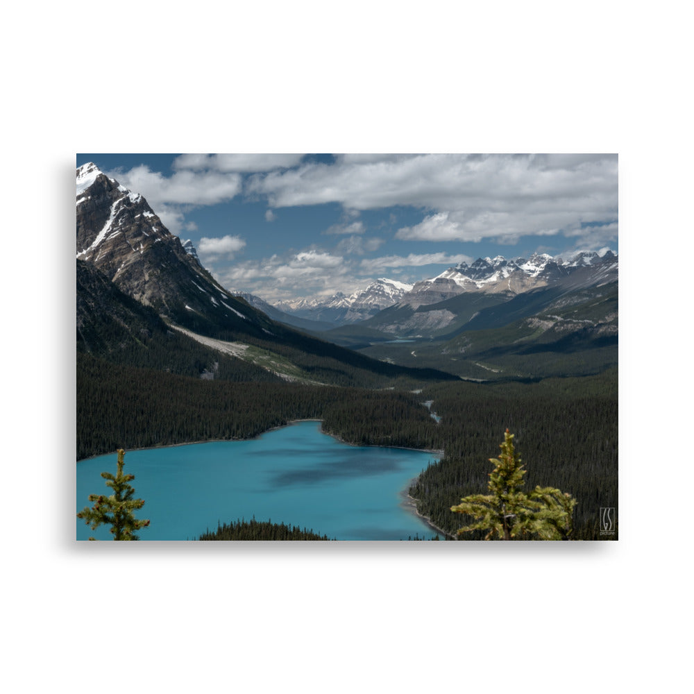 Lac Peyto au Canada