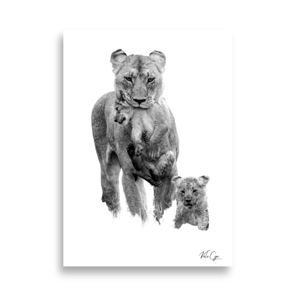 Photographie Lionne et Lionceaux