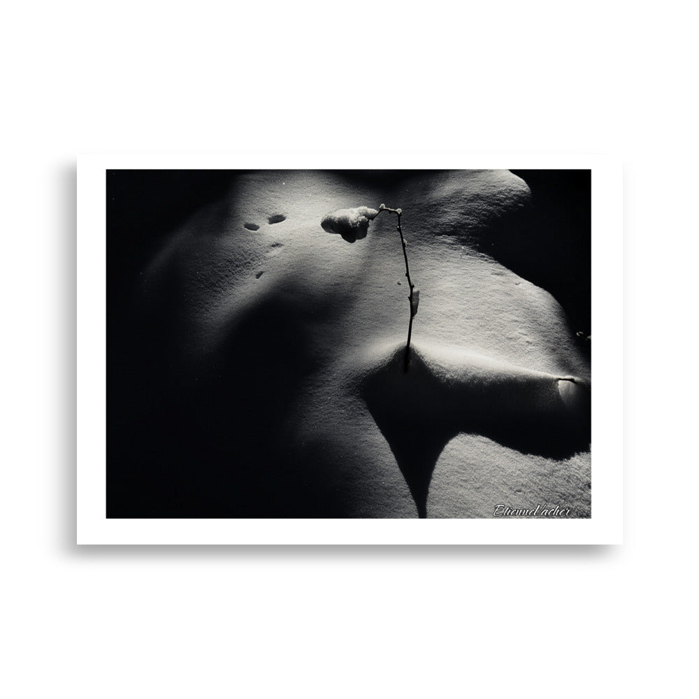 Poster noir et blanc