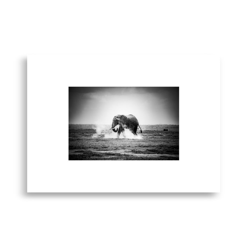 Photographie d'un elephant en Afrique