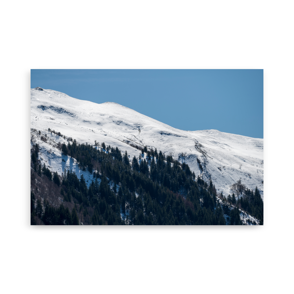 Photographie de montagnes enneigées avec petite forêt de sapins du Cantal.