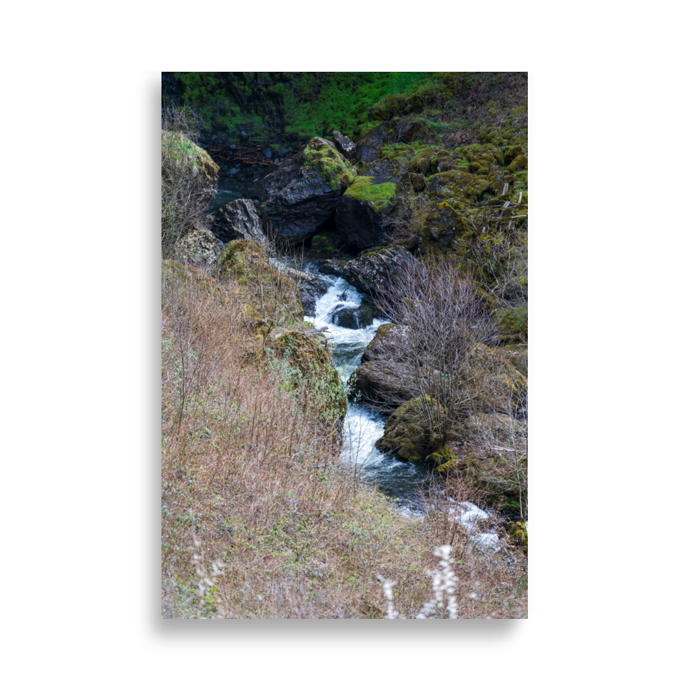 Ruisseau pittoresque qui coule dans le Cantal.