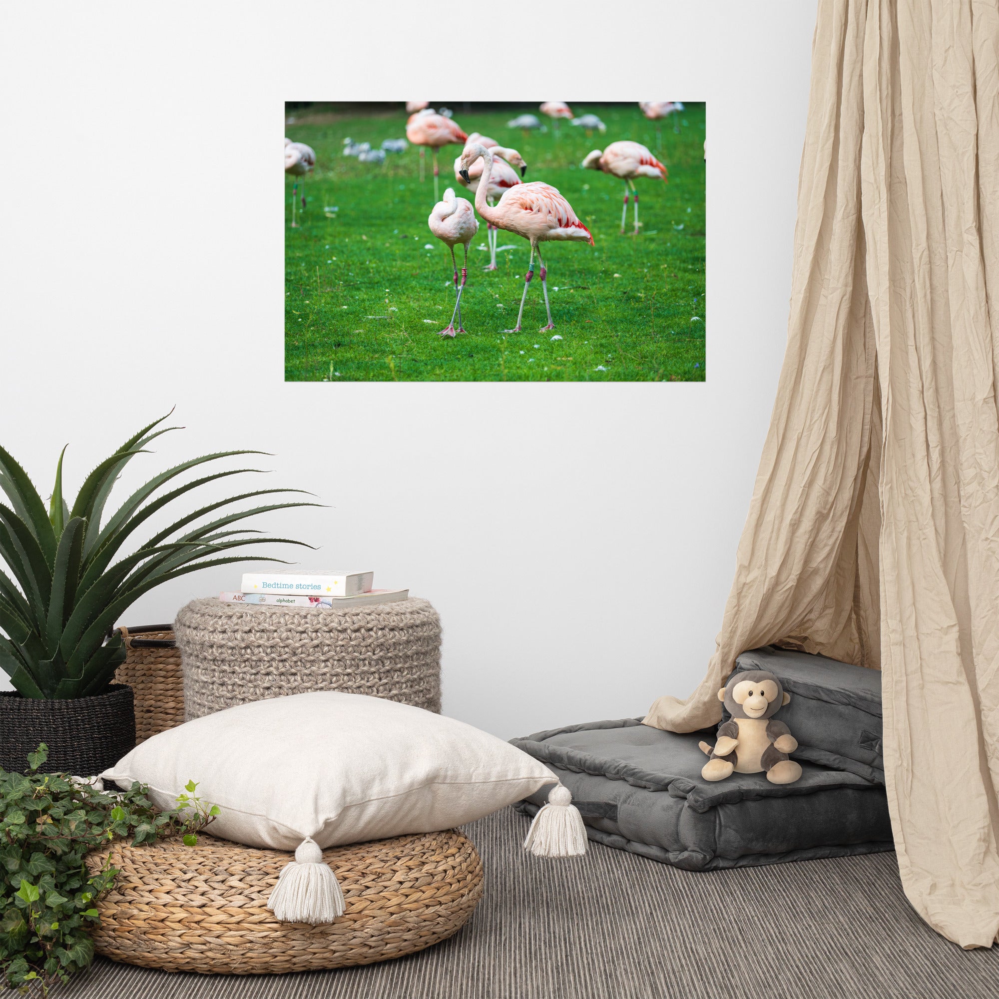 Poster de Flamant rose – Photographie animalière Poster XXL.