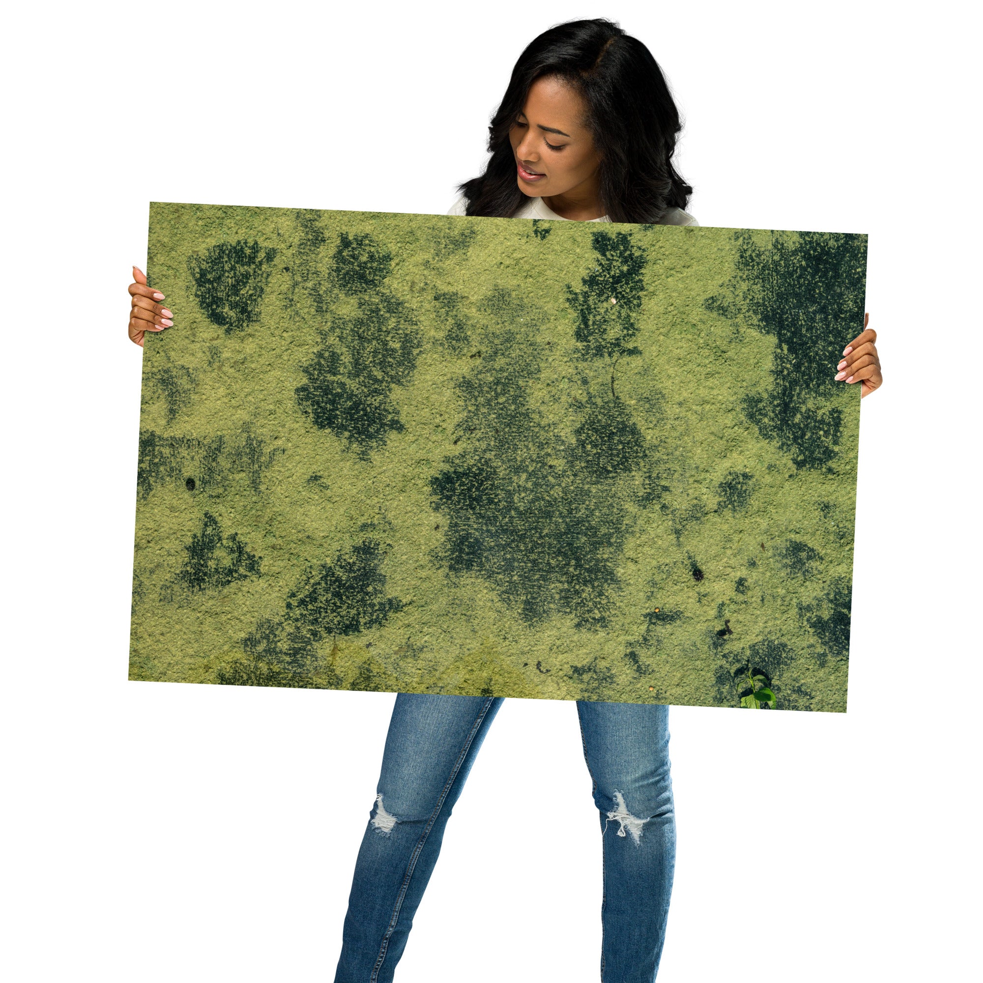 Poster d'une photographie d'un fleuve camouflé par des algues vertes, ressemblant à une peinture