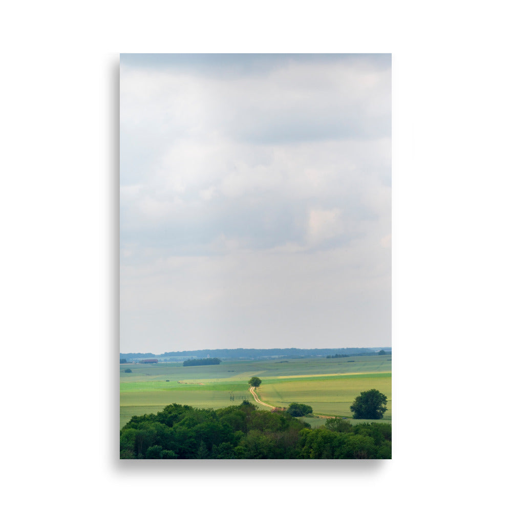 Poster 'Provins' présentant une photographie d'un paysage français, un champ et une forêt au loin, vue depuis le sommet du château de Provins.