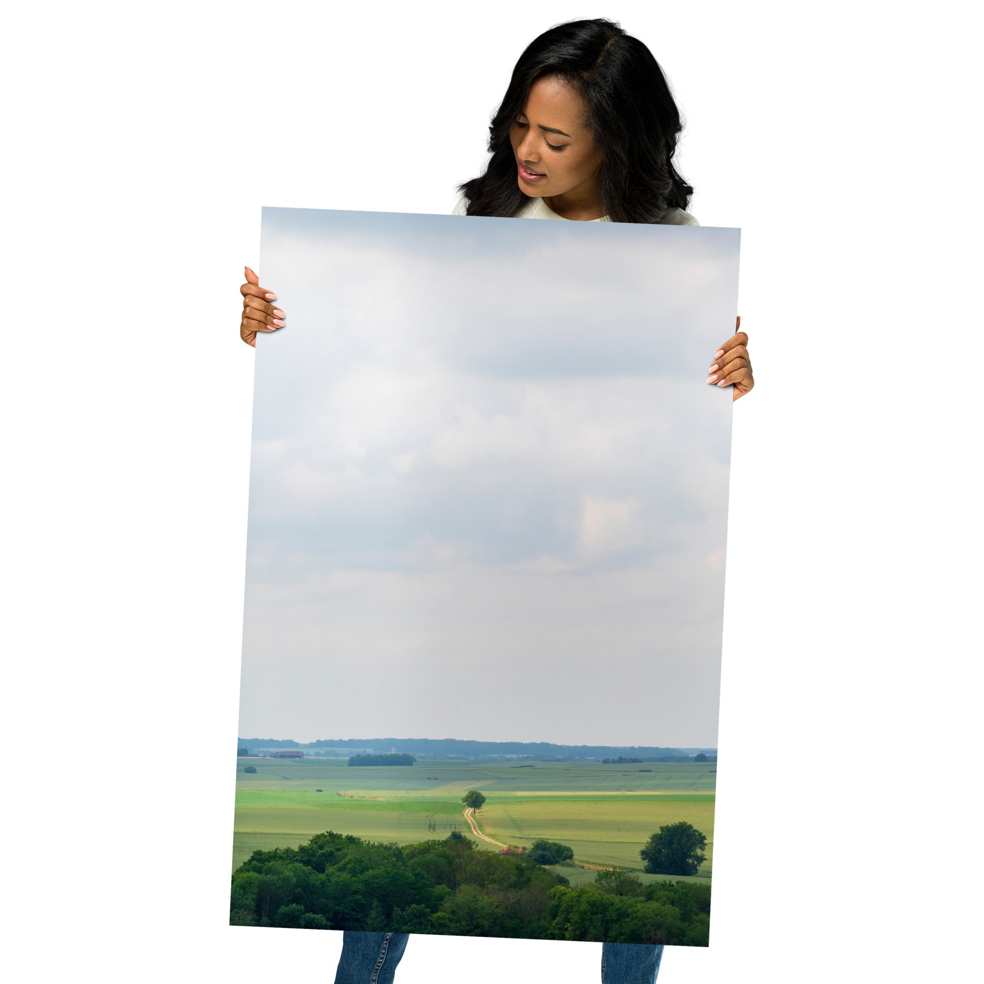 Poster 'Provins' présentant une photographie d'un paysage français, un champ et une forêt au loin, vue depuis le sommet du château de Provins.