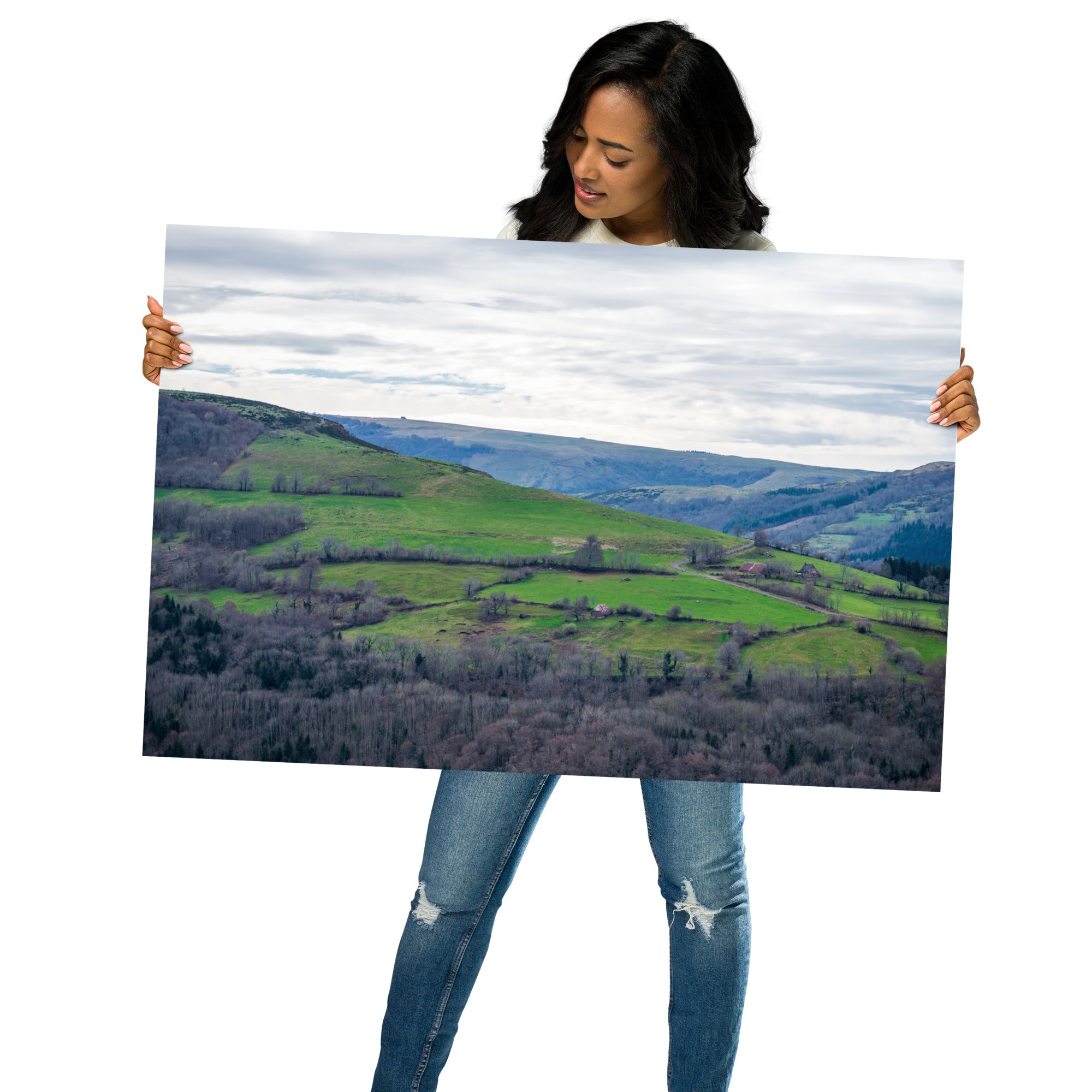 Paysage du Cantal : forêt dense à côté de prairies verdoyantes en haute altitude.