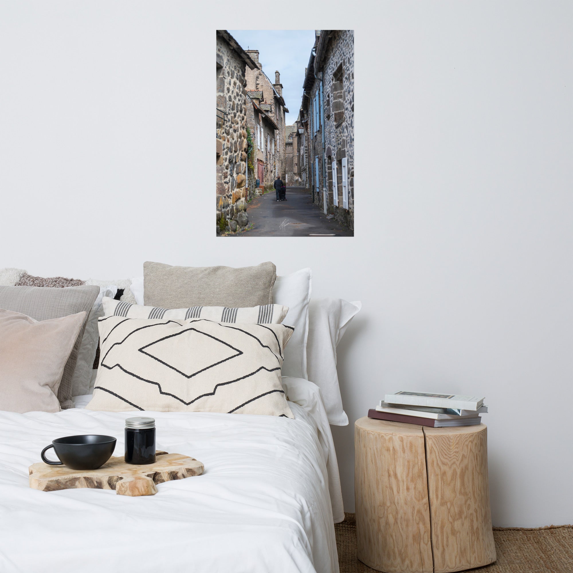 Photographie de la "Rue des Nobles" à Salers, illustrant le patrimoine médiéval de la ville.