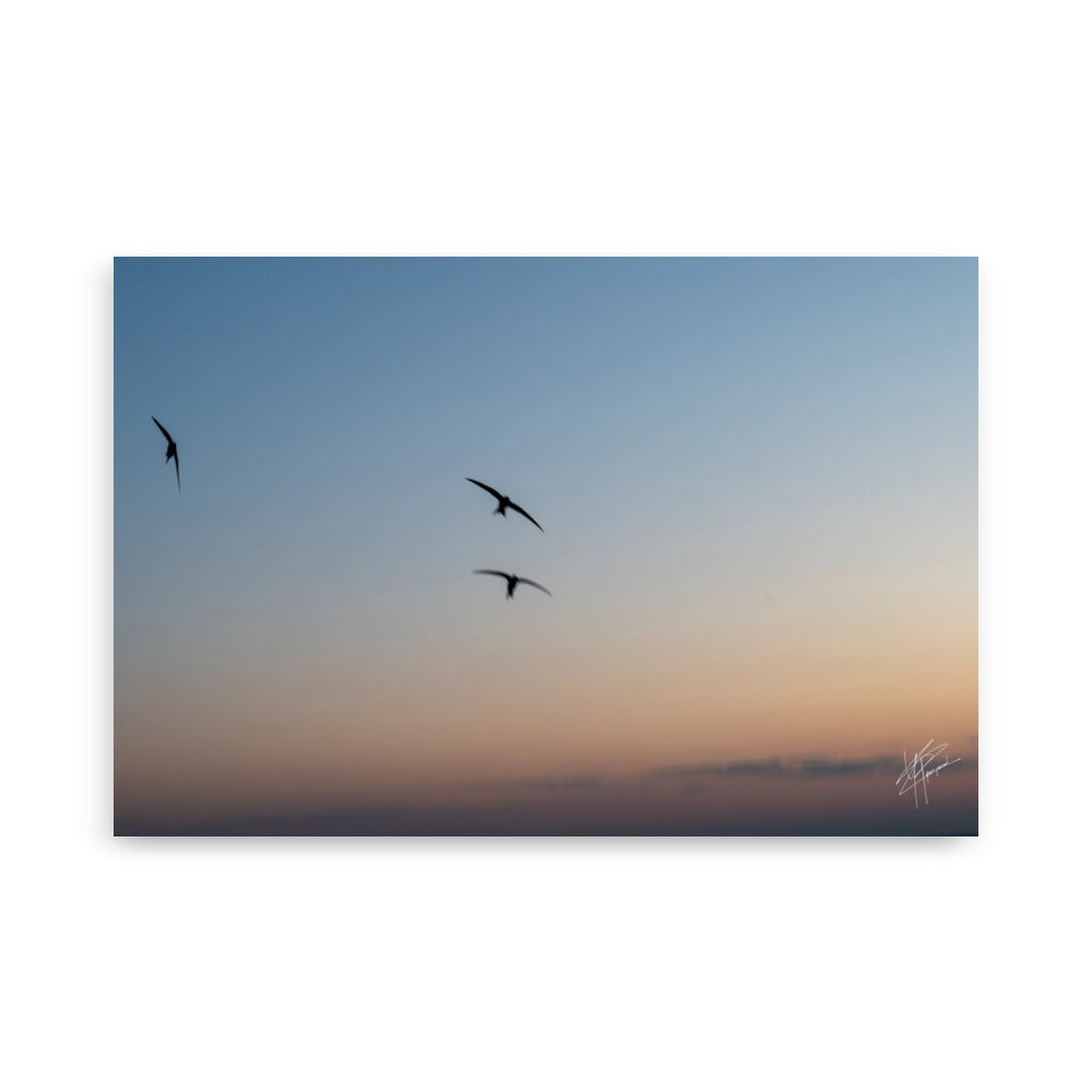 Trois oiseaux volant dans un ciel aux teintes de bleu, orange et jaune.