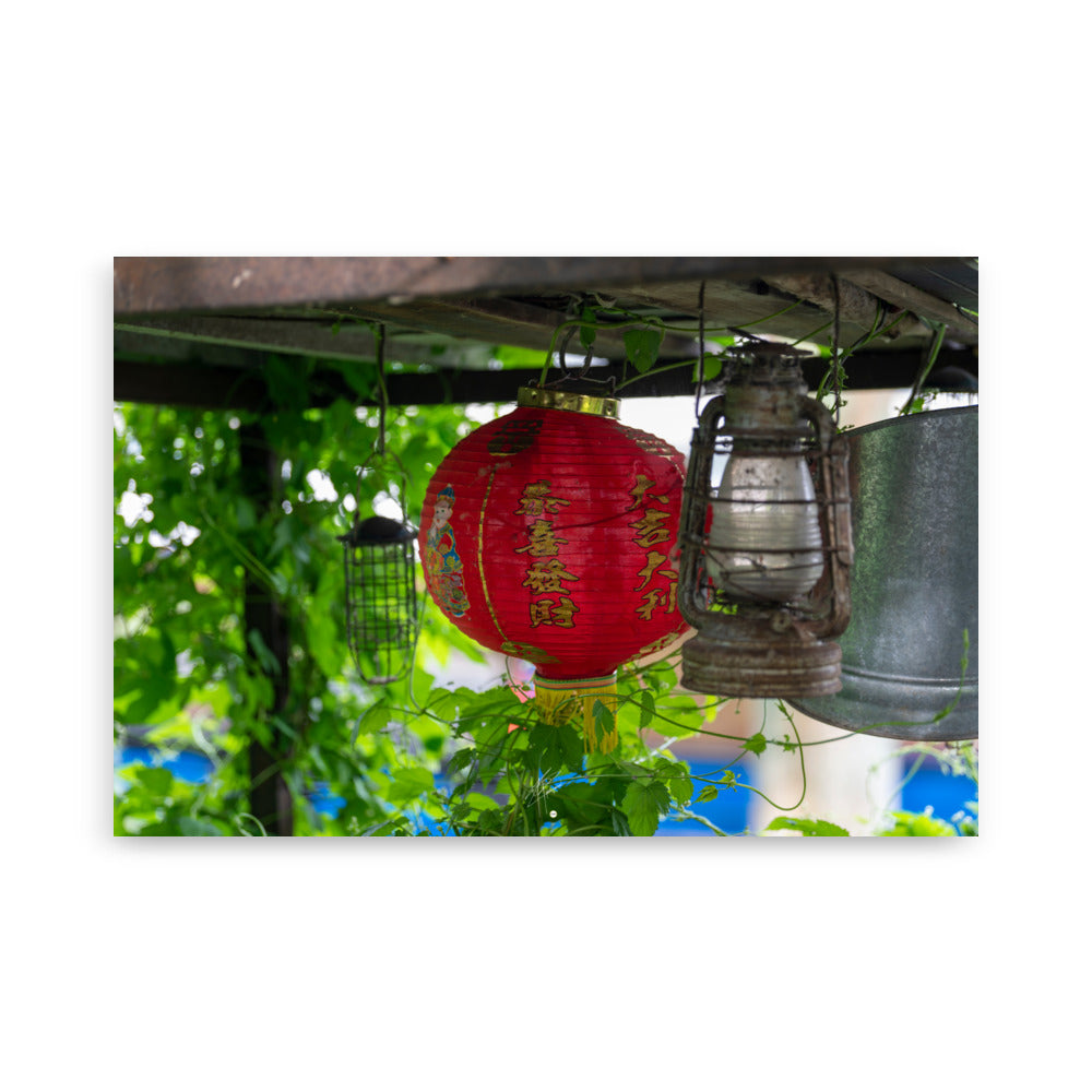 Poster du 'Lanterne Asiatique', une photographie capturant une lanterne suspendue entourée de plantes vertes, symbolisant l'harmonie et la quiétude.