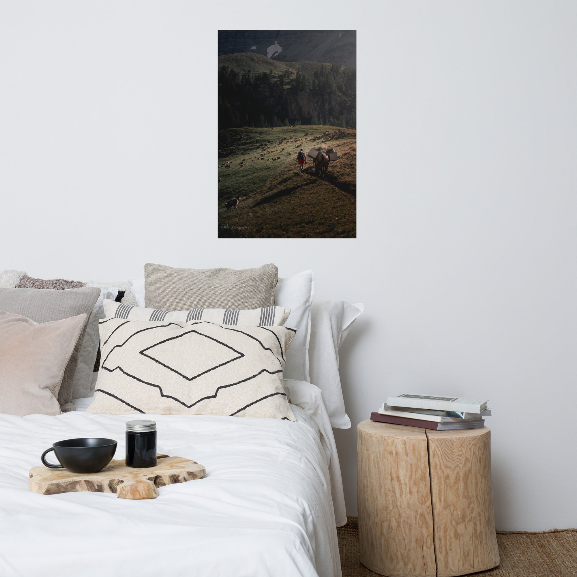 Une scène pittoresque de la nature avec un chien de berger, un cheval, un randonneur et un troupeau de moutons à la lumière du couchant, capturée par Brad_explographie.