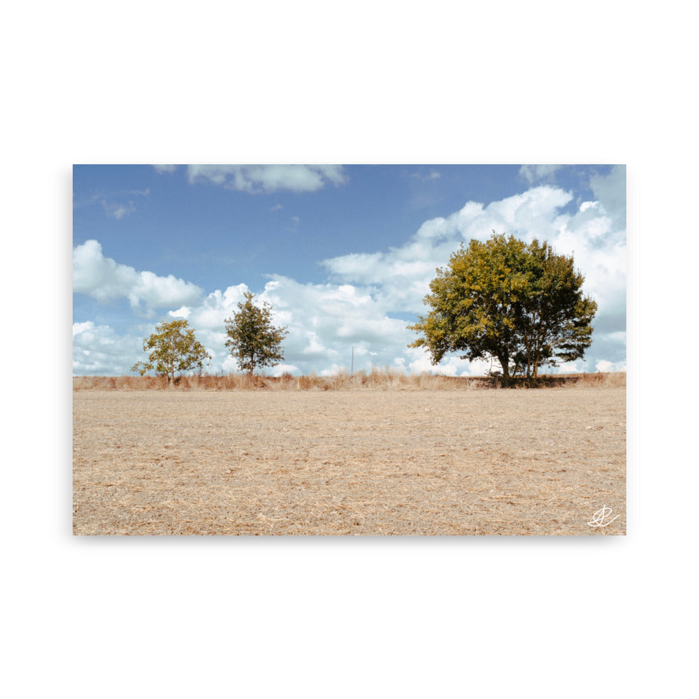Photographie 'Rythmes Naturels' par Ilan Shoham, mettant en scène une division visuelle fascinante entre la terre et le ciel avec trois arbres distincts et un poteau électrique isolé.