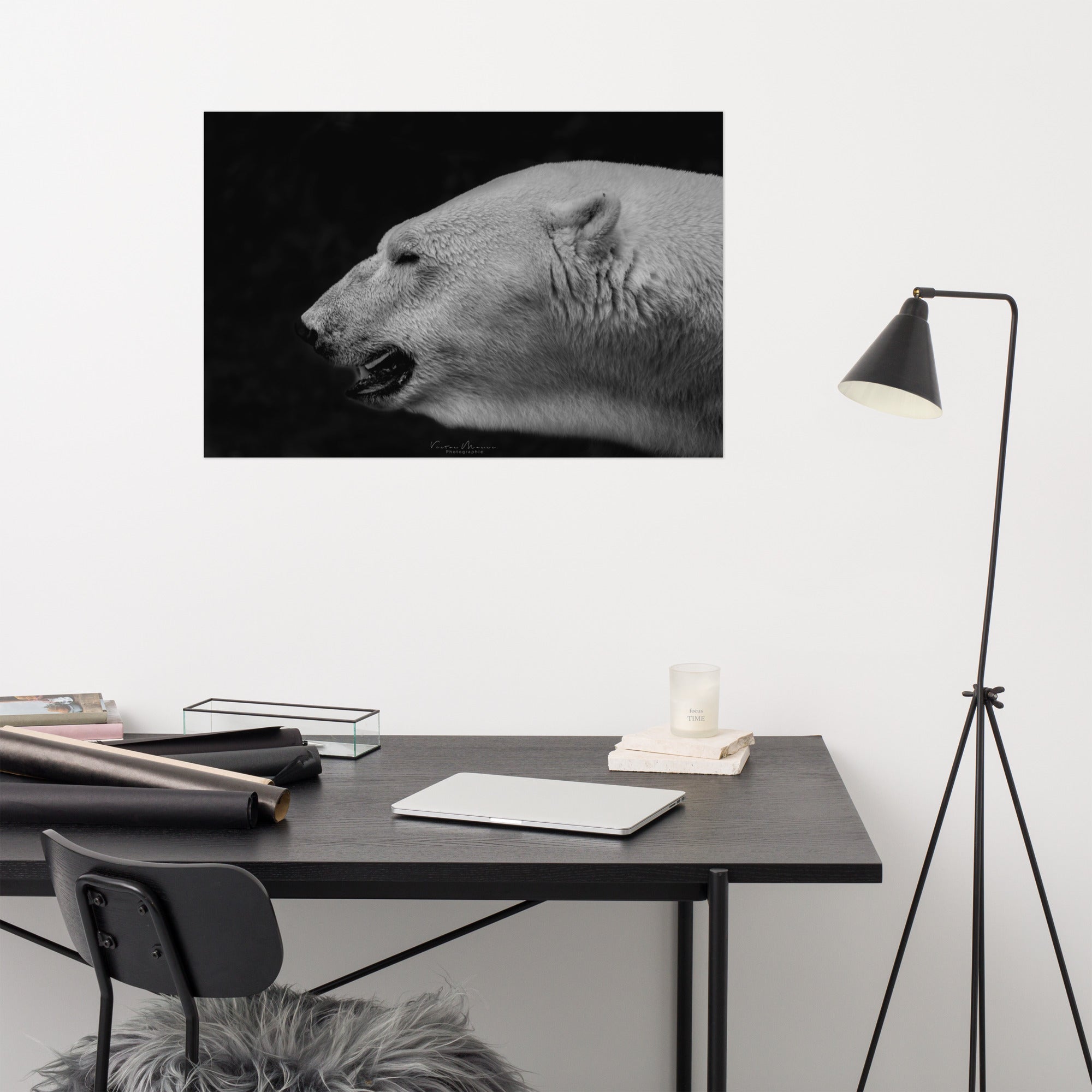 Portrait 'The White', capturant l'élégance et la puissance tranquille d'un ours polaire, son pelage blanc vibrant contrastant de manière saisissante avec un arrière-plan noir profond, créé par la photographe Victor Marre.