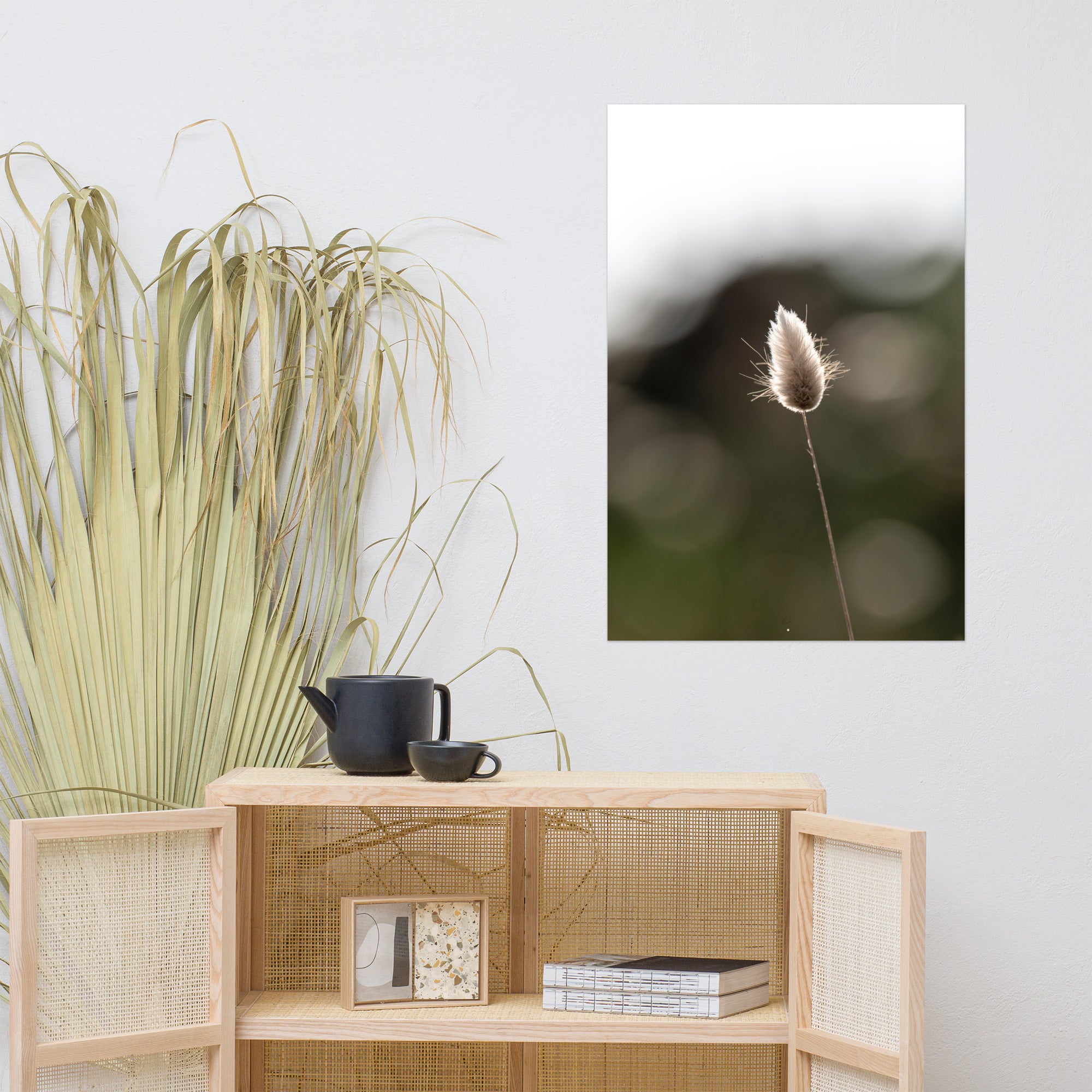 Photographie délicate 'Queue-de-lièvre', capturant de près la beauté et les détails fins d'une plante, créée par la photographe Yann Peccard.