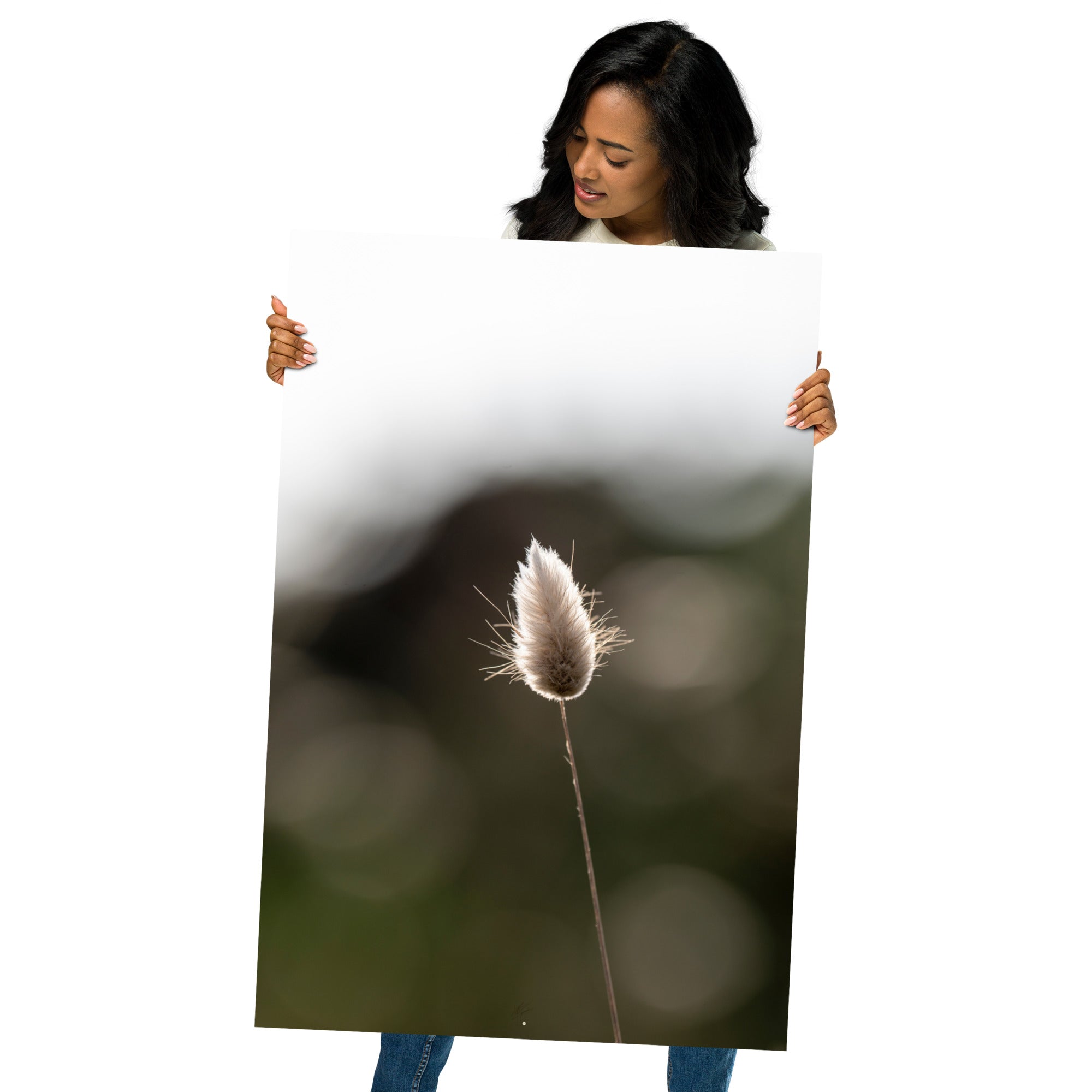 Photographie délicate 'Queue-de-lièvre', capturant de près la beauté et les détails fins d'une plante, créée par la photographe Yann Peccard.