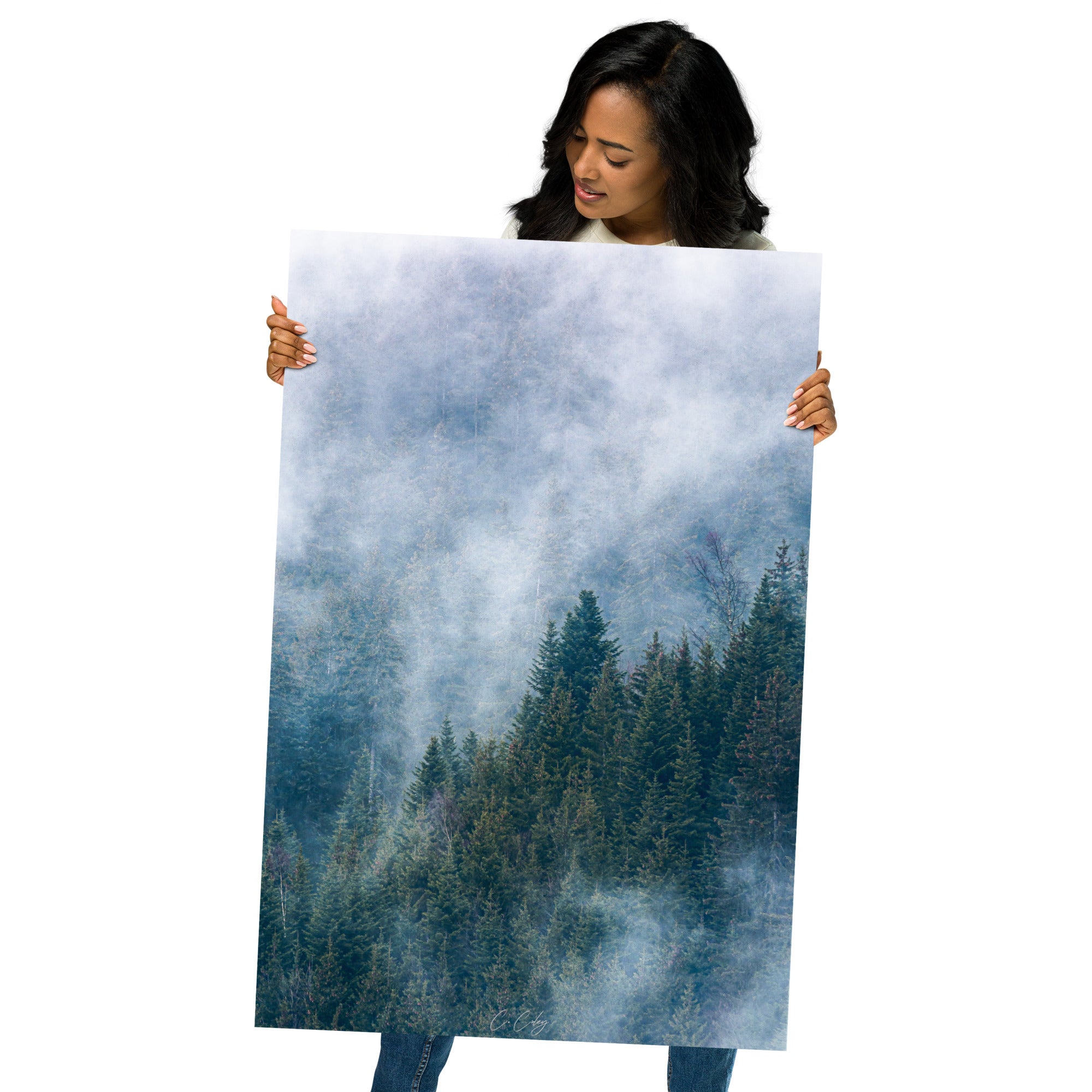 Vue aérienne d'une dense forêt de sapins enveloppée de nuages, capturée avec précision par Charles Coley, évoquant sérénité et mystère.