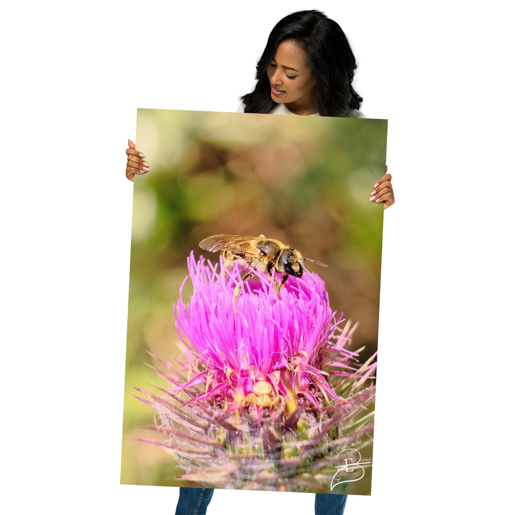 Photographie détaillée d'une abeille collectant du pollen sur une fleur de chardon marie, mettant en évidence la complexité de la nature, œuvre d'Eli Bernet.