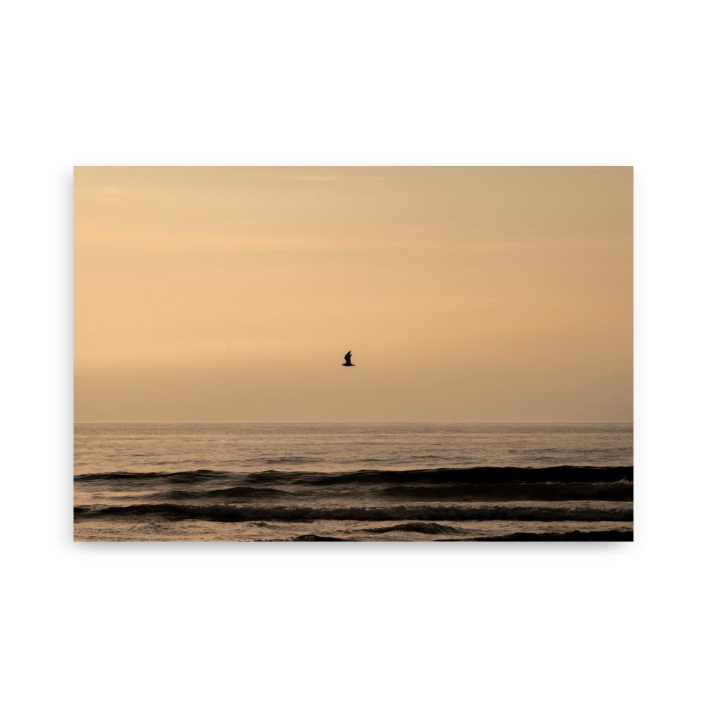Photographie d'un coucher de soleil en bord de mer avec reflet du soleil sur les vagues, horizon doré et oiseau volant au-dessus de la mer.
