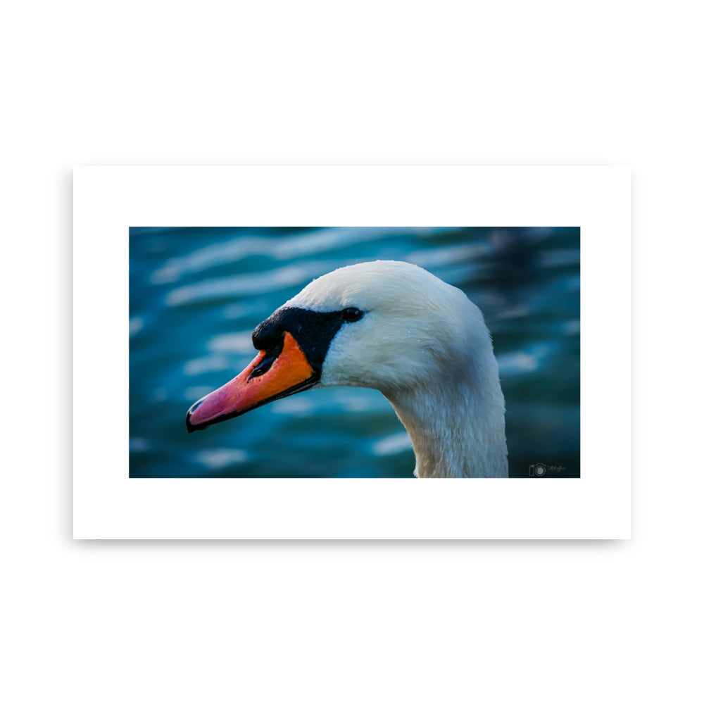 Secrétaire oiseau vole avec une brindille dans son bec Poster 90x60 cm -  Tirage photo