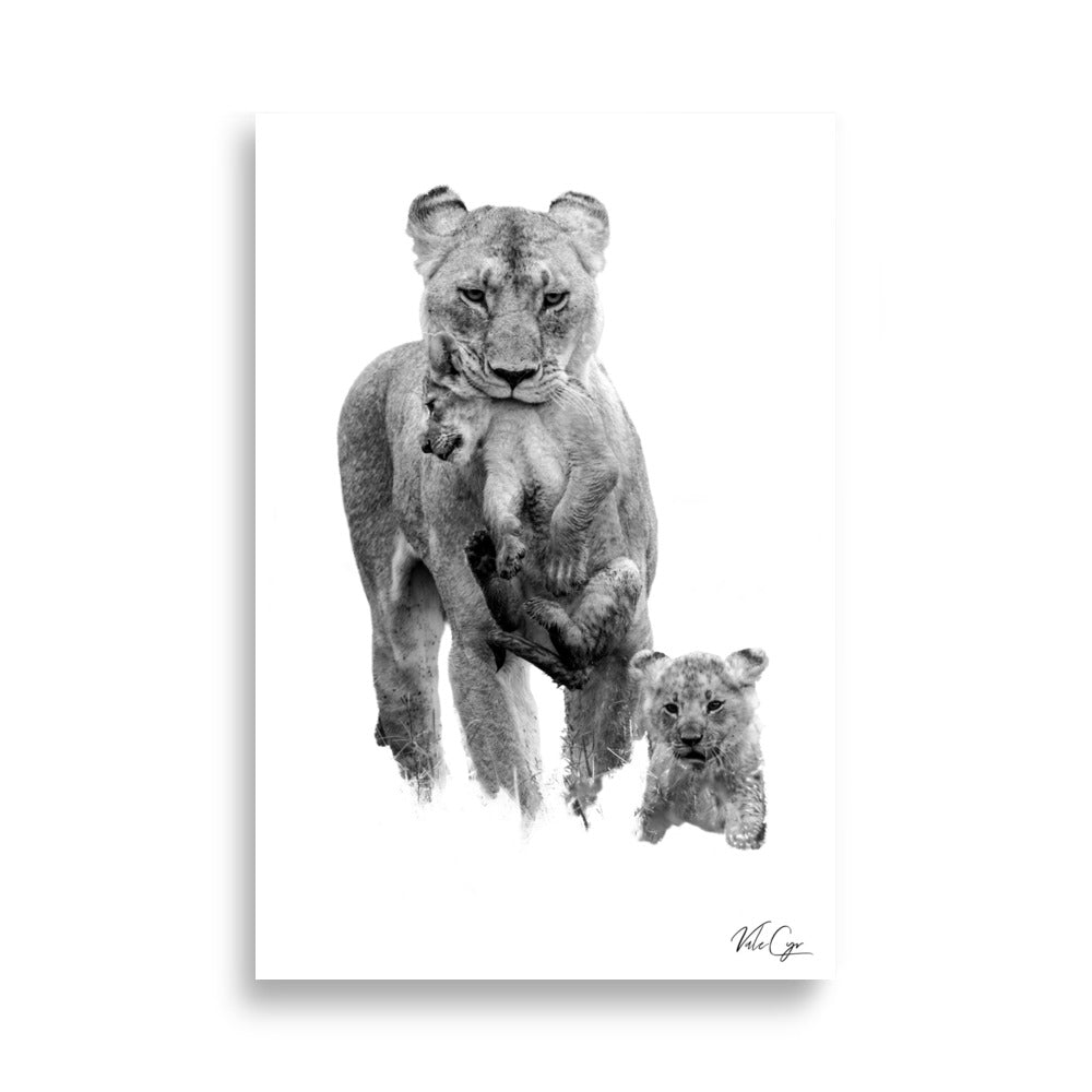 Photographie Lionne et Lionceaux