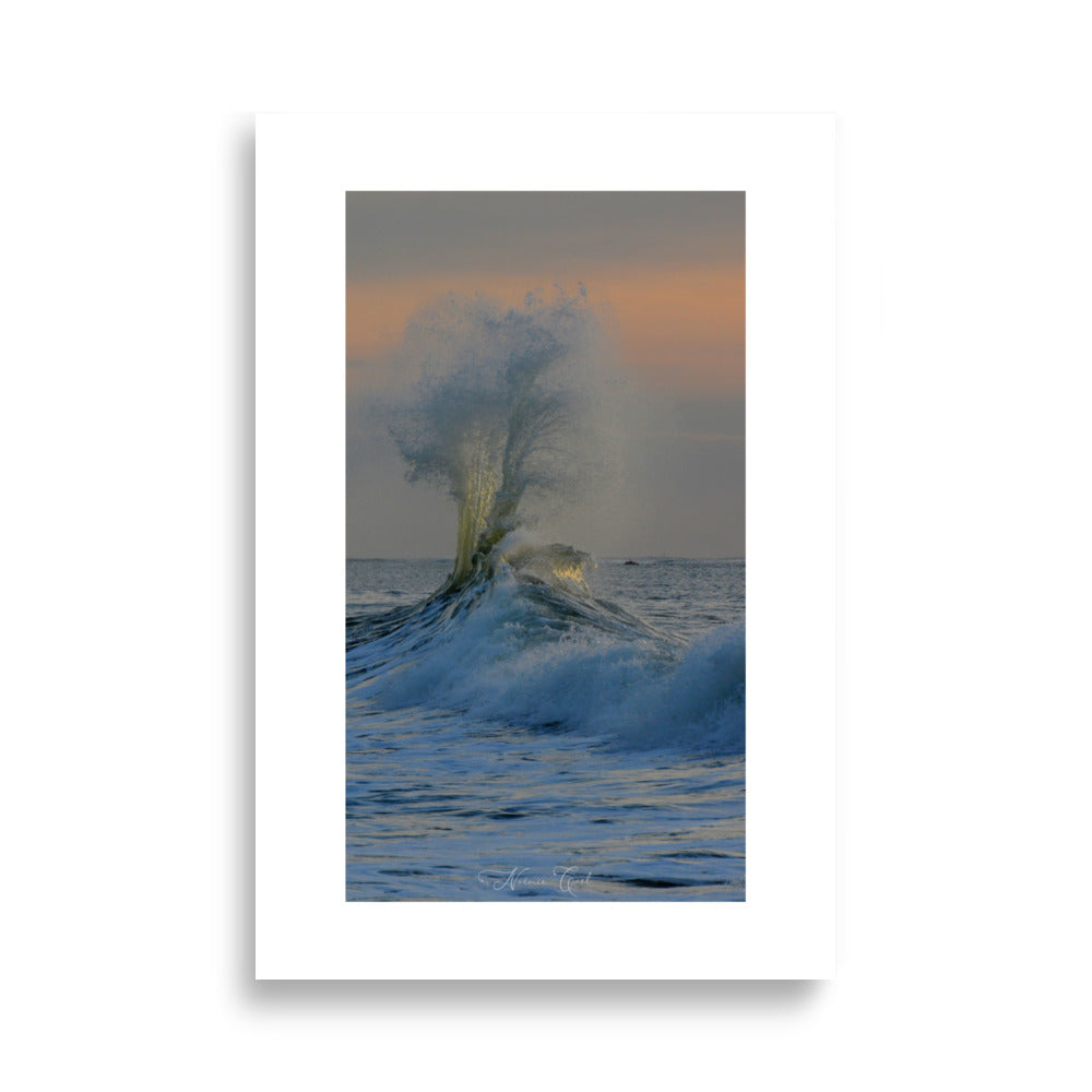 Poster vagues