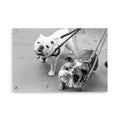 Poster Los Angeles avec deux bulldogs Photographie en Argentique Par Julien Carrere