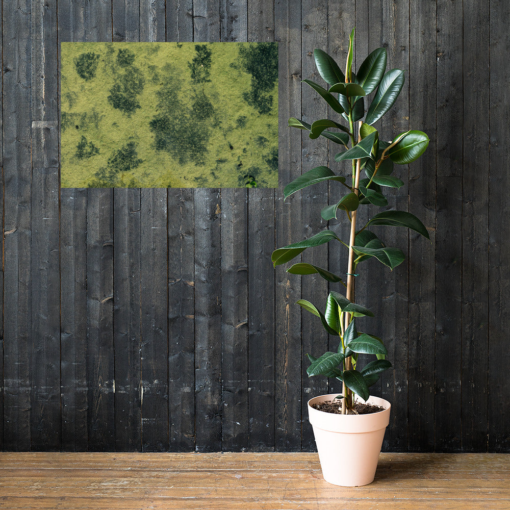 Poster d'une photographie d'un fleuve camouflé par des algues vertes, ressemblant à une peinture