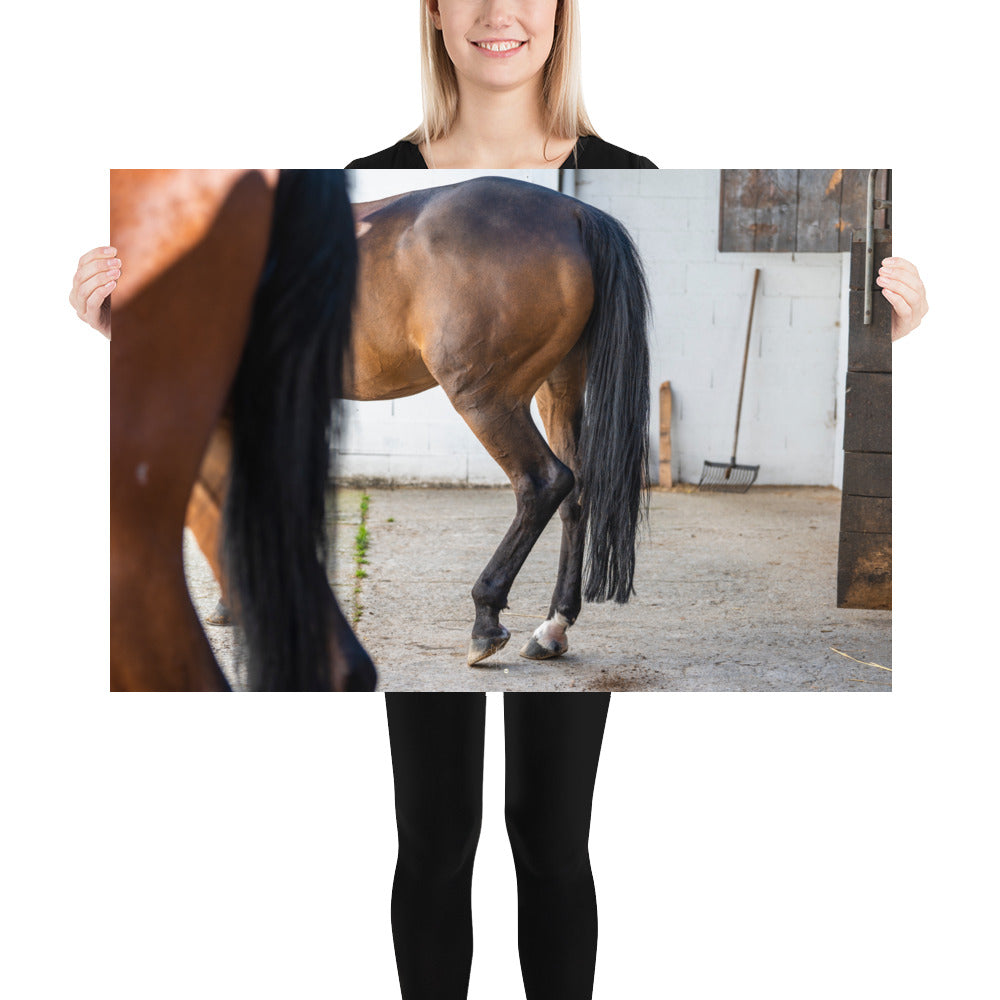 Photographie artistique 'Au repos dans l'écurie' dépeignant le mouvement gracieux d'un cheval, imprimée sur du papier de première qualité.