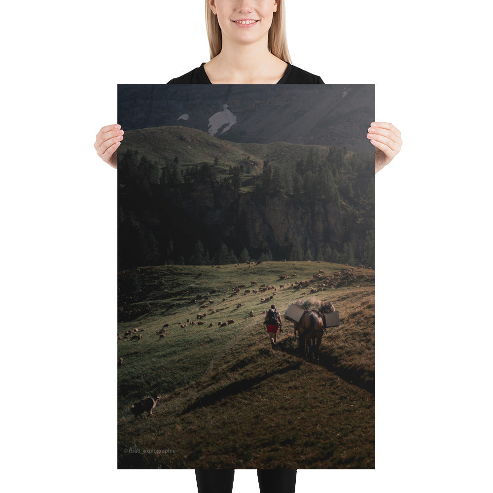 Une scène pittoresque de la nature avec un chien de berger, un cheval, un randonneur et un troupeau de moutons à la lumière du couchant, capturée par Brad_explographie.