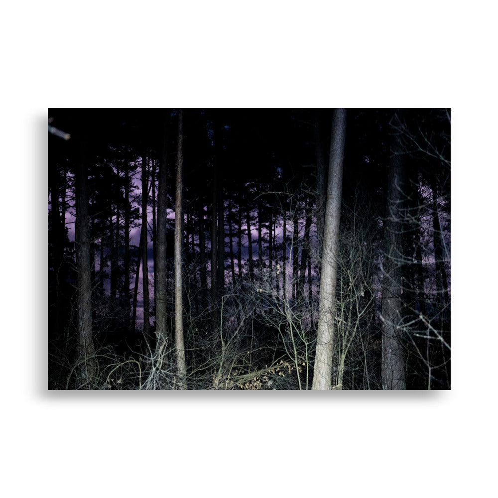  Poster de photographie d'une forêt la nuit éclairée par la lune, située dans le Cantal, près de la ville de Mauriac.