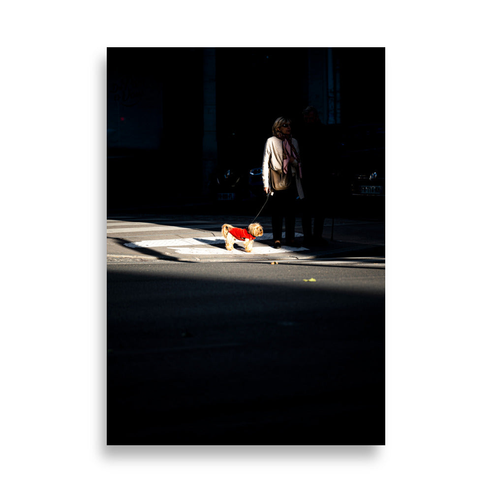 Poster 'Lumière et Vie' représentant une femme et son chien attendant pour traverser la route