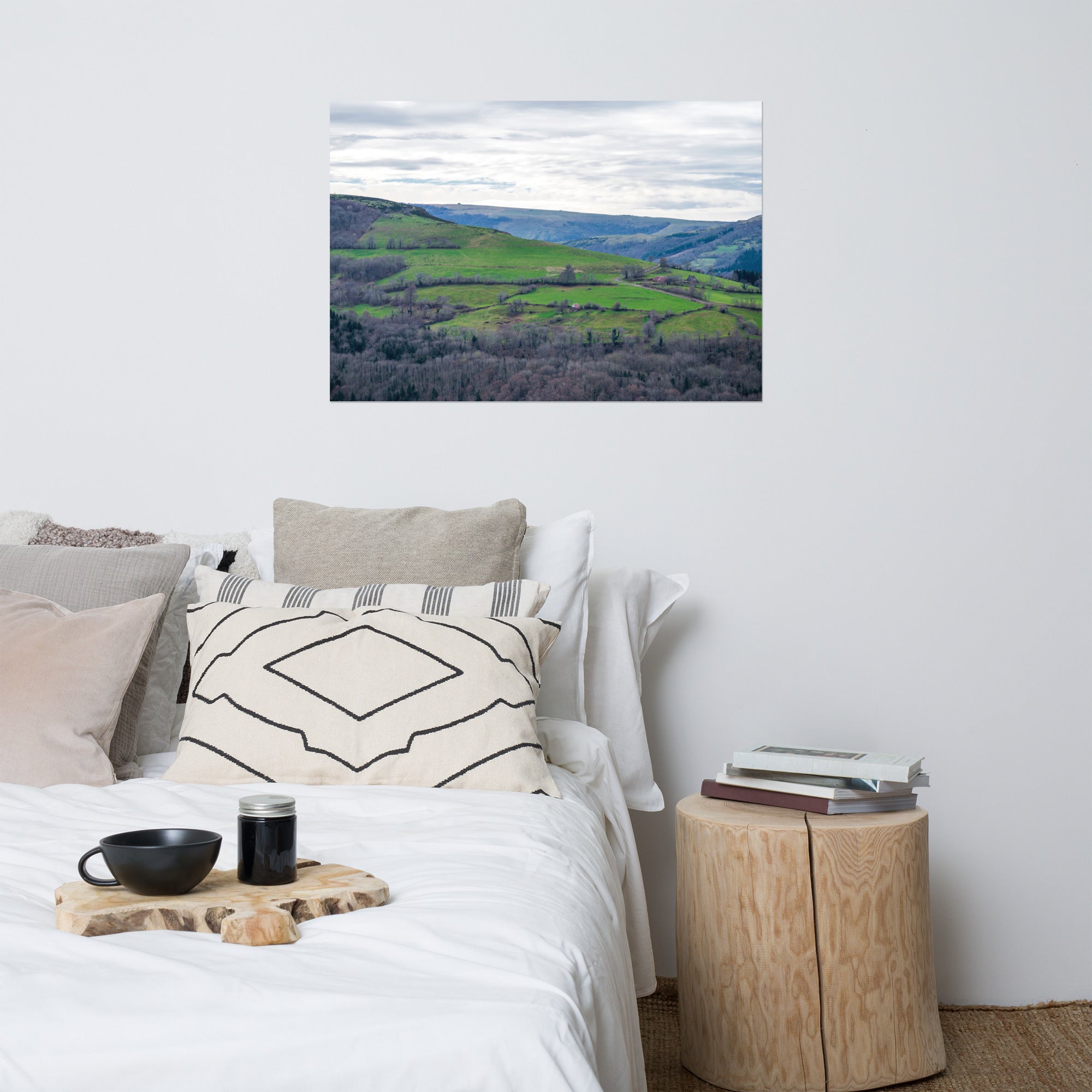 Paysage du Cantal : forêt dense à côté de prairies verdoyantes en haute altitude.