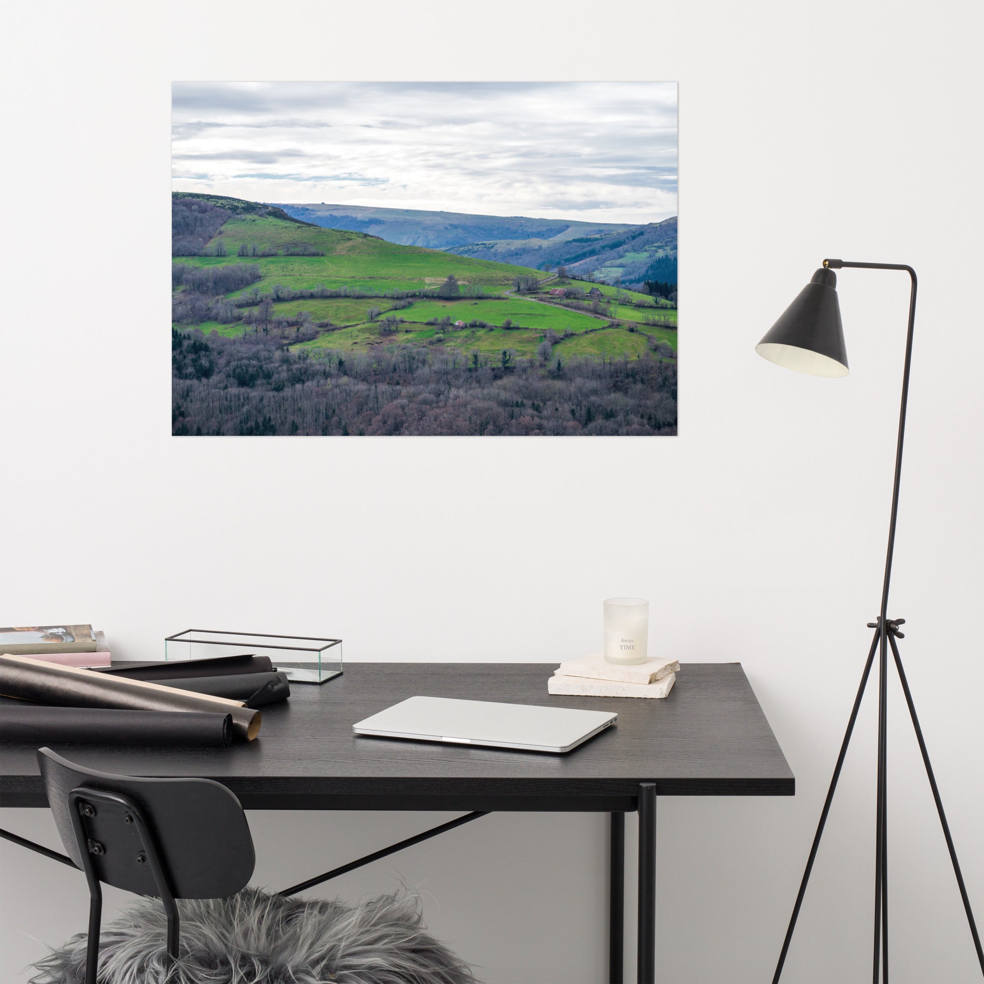 Paysage du Cantal : forêt dense à côté de prairies verdoyantes en haute altitude.