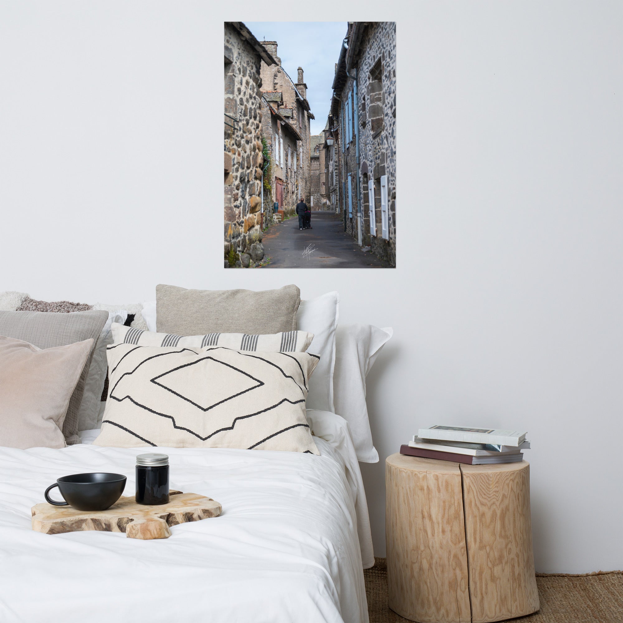 Photographie de la "Rue des Nobles" à Salers, illustrant le patrimoine médiéval de la ville.