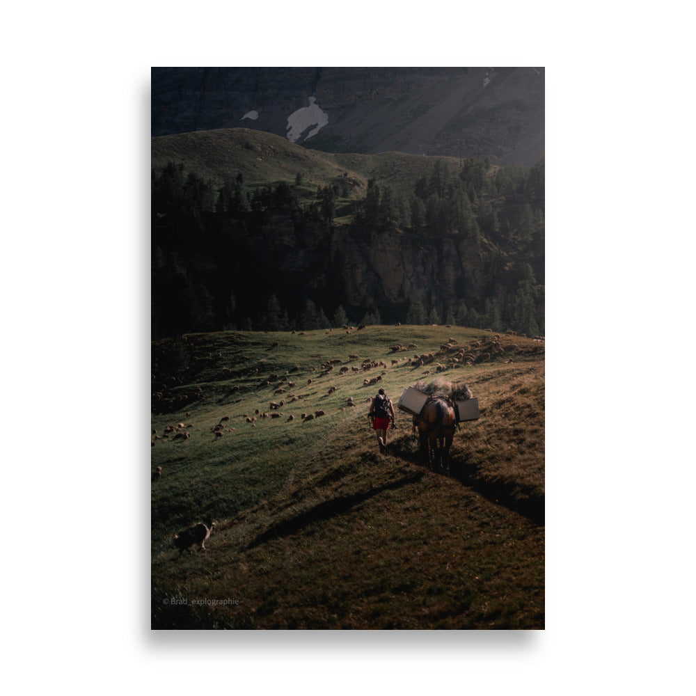 Une scène pittoresque de la nature avec un chien de berger, un cheval, un randonneur et un troupeau de moutons à la lumière du couchant, capturée par Brad_explographie.