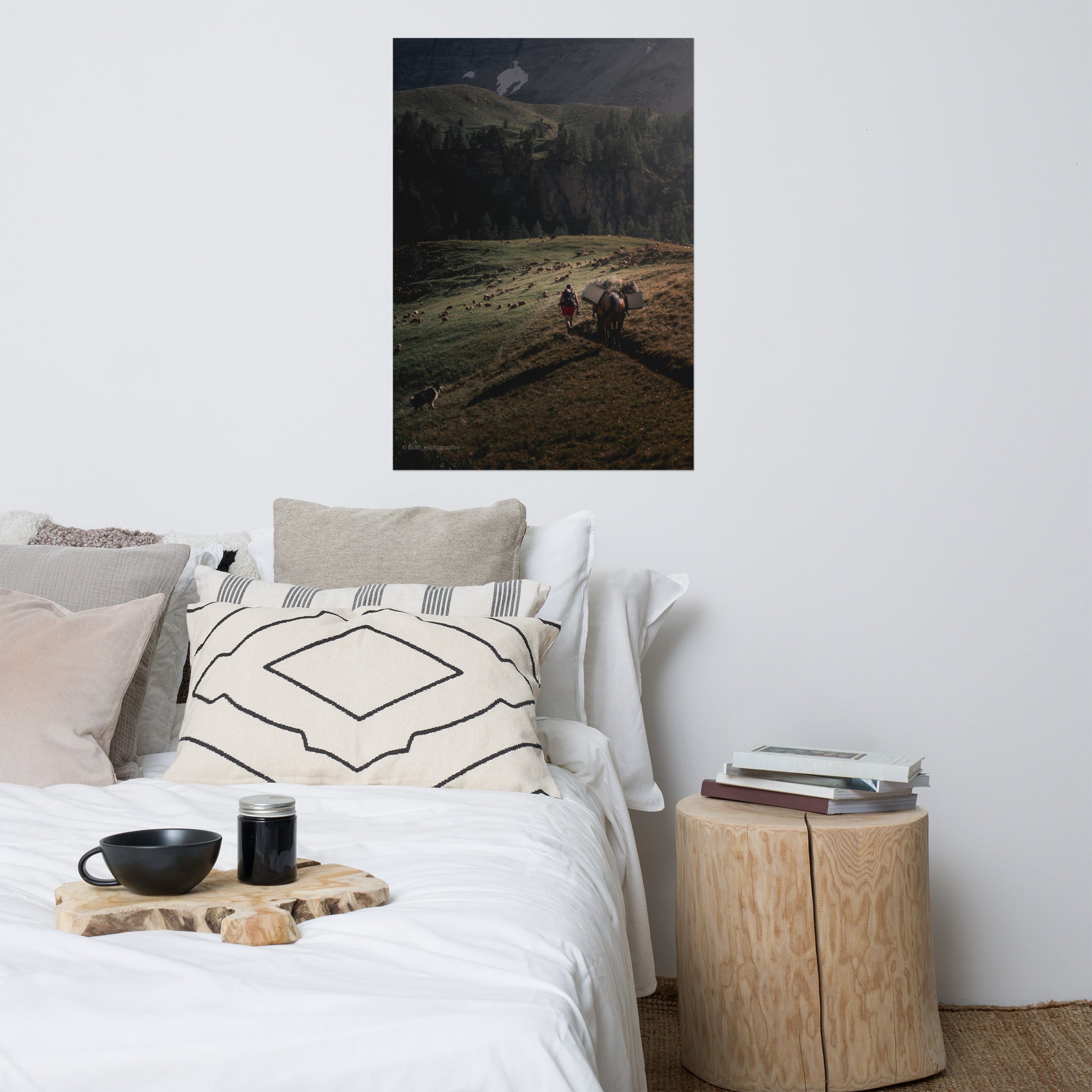 Une scène pittoresque de la nature avec un chien de berger, un cheval, un randonneur et un troupeau de moutons à la lumière du couchant, capturée par Brad_explographie.
