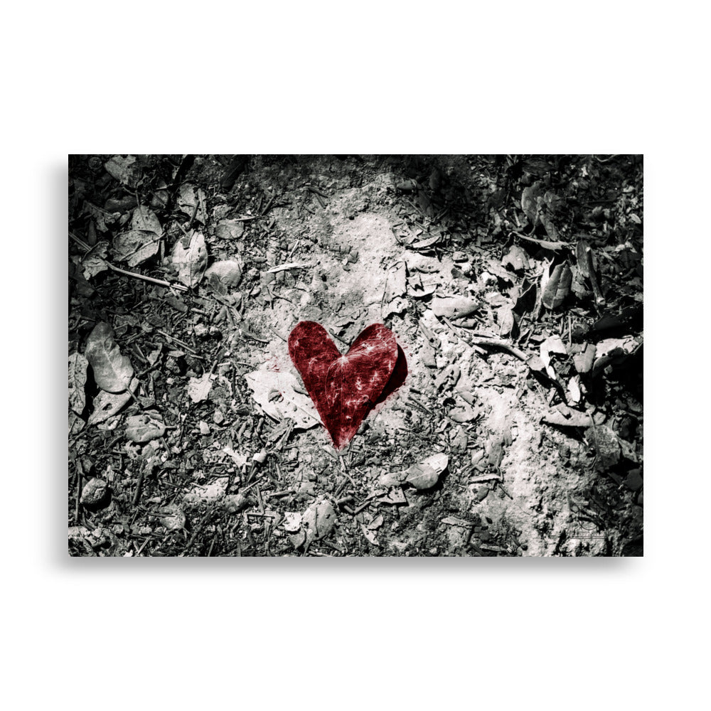 Photographie artistique mettant en avant une feuille rouge en forme de cœur au milieu d'une forêt en noir et blanc, œuvre de Hadrien Geraci.