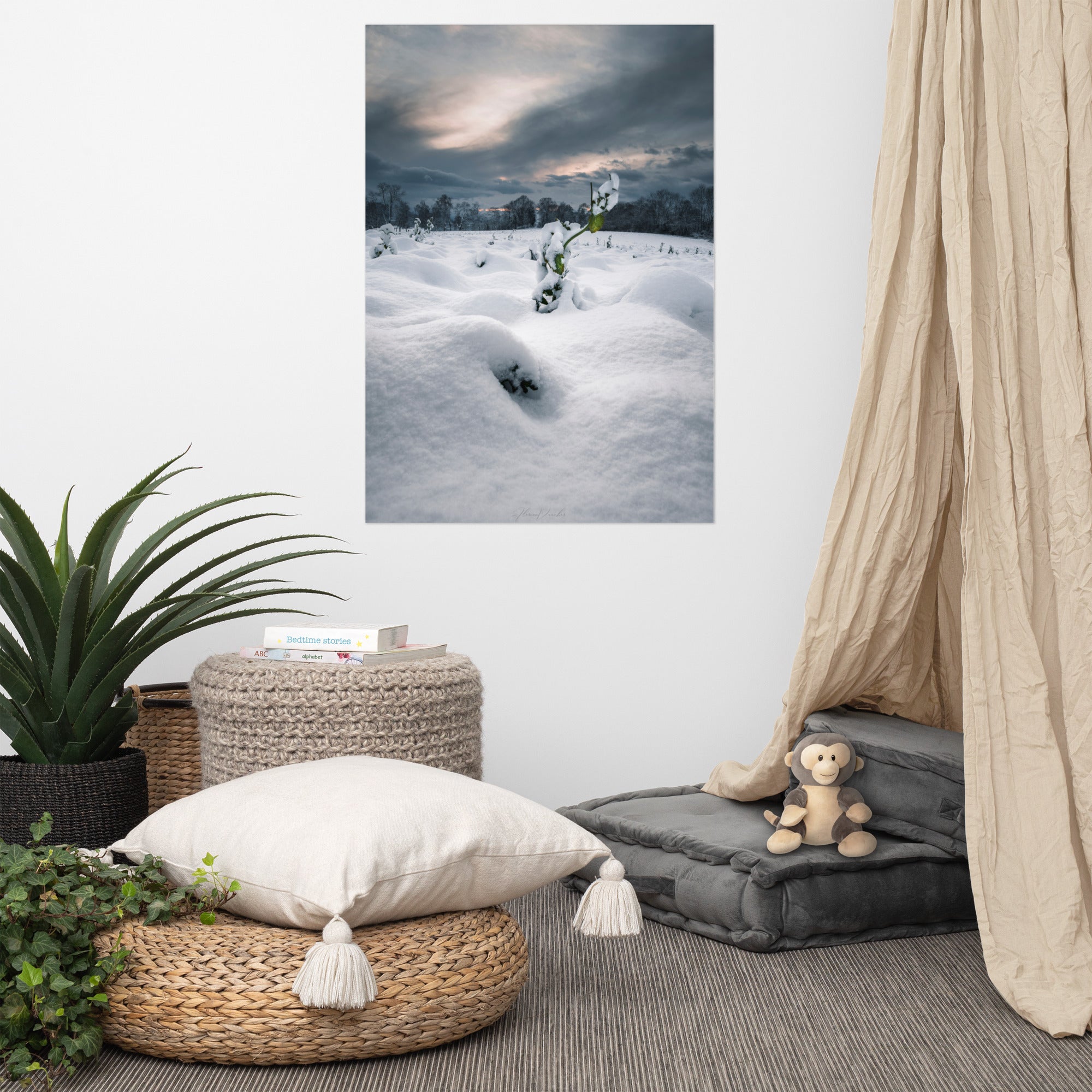 Photographie hivernale captivante montrant une plante verte solitaire au milieu d'un paysage enneigé, avec une forêt lointaine et un ciel nuageux en arrière-plan, œuvre de Florian Vaucher.
