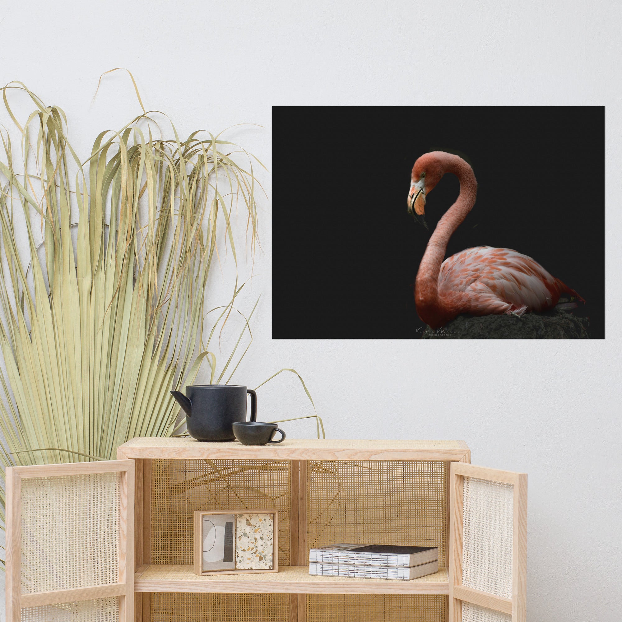 Photographie 'Flamingo', présentant un flamant rose élégant de profil, se détachant majestueusement sur un fond noir profond, capturant subtilement sa grâce et son élégance.