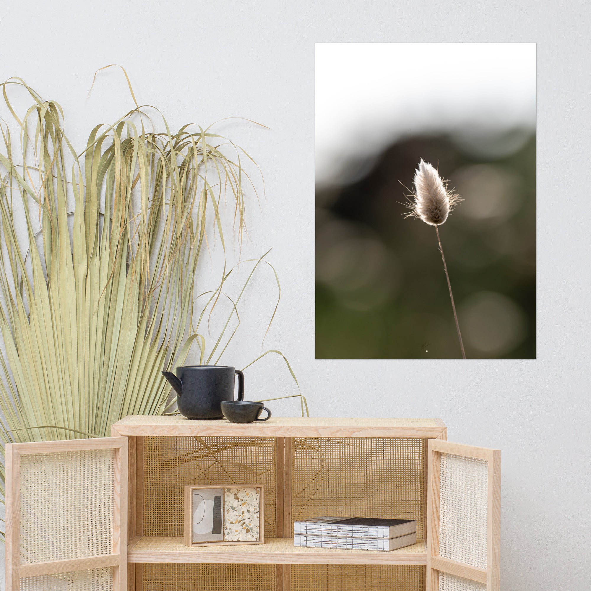 Photographie délicate 'Queue-de-lièvre', capturant de près la beauté et les détails fins d'une plante, créée par la photographe Yann Peccard.