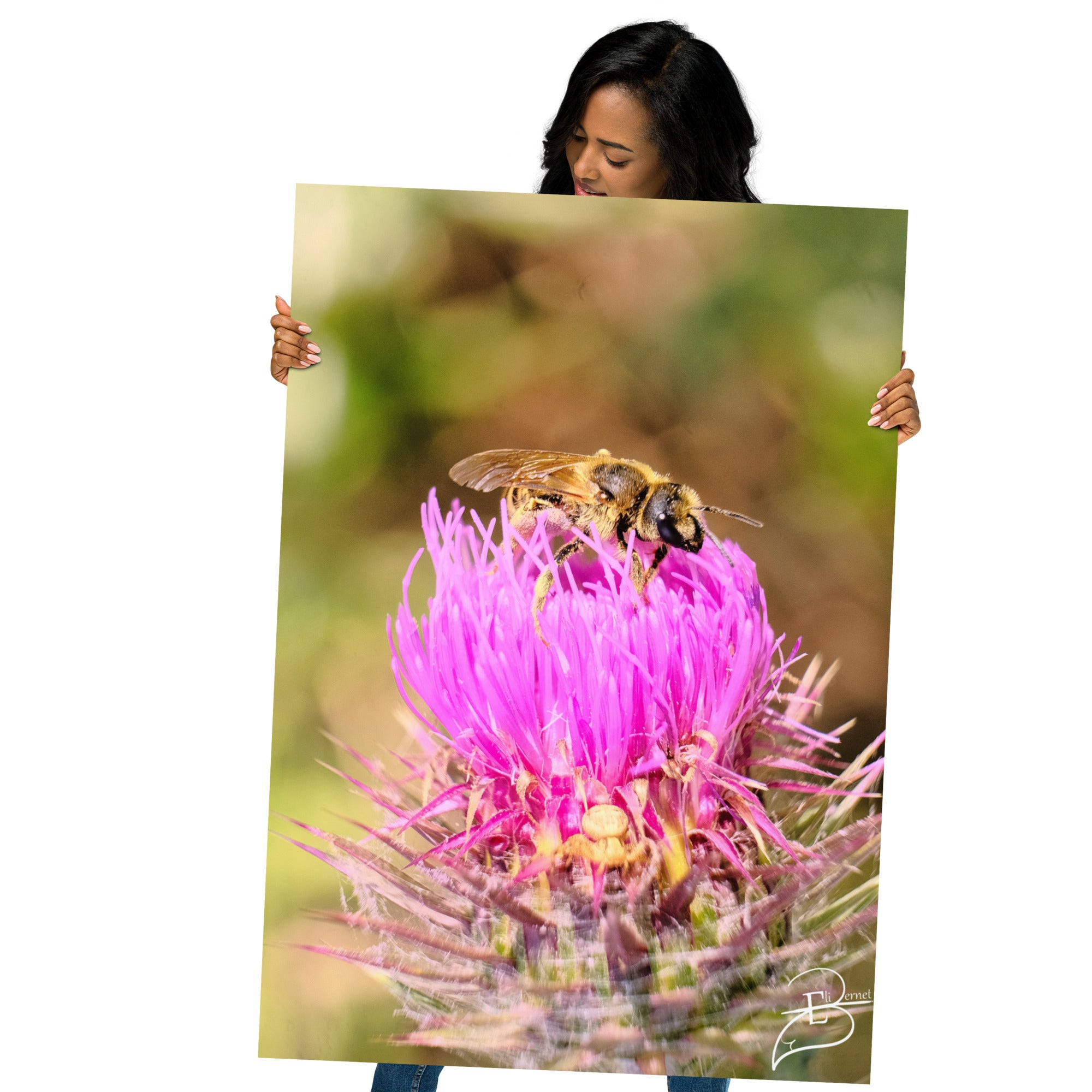 Photographie détaillée d'une abeille collectant du pollen sur une fleur de chardon marie, mettant en évidence la complexité de la nature, œuvre d'Eli Bernet.