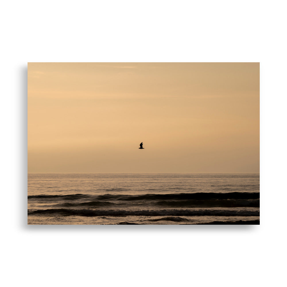 Photographie d'un coucher de soleil en bord de mer avec reflet du soleil sur les vagues, horizon doré et oiseau volant au-dessus de la mer.